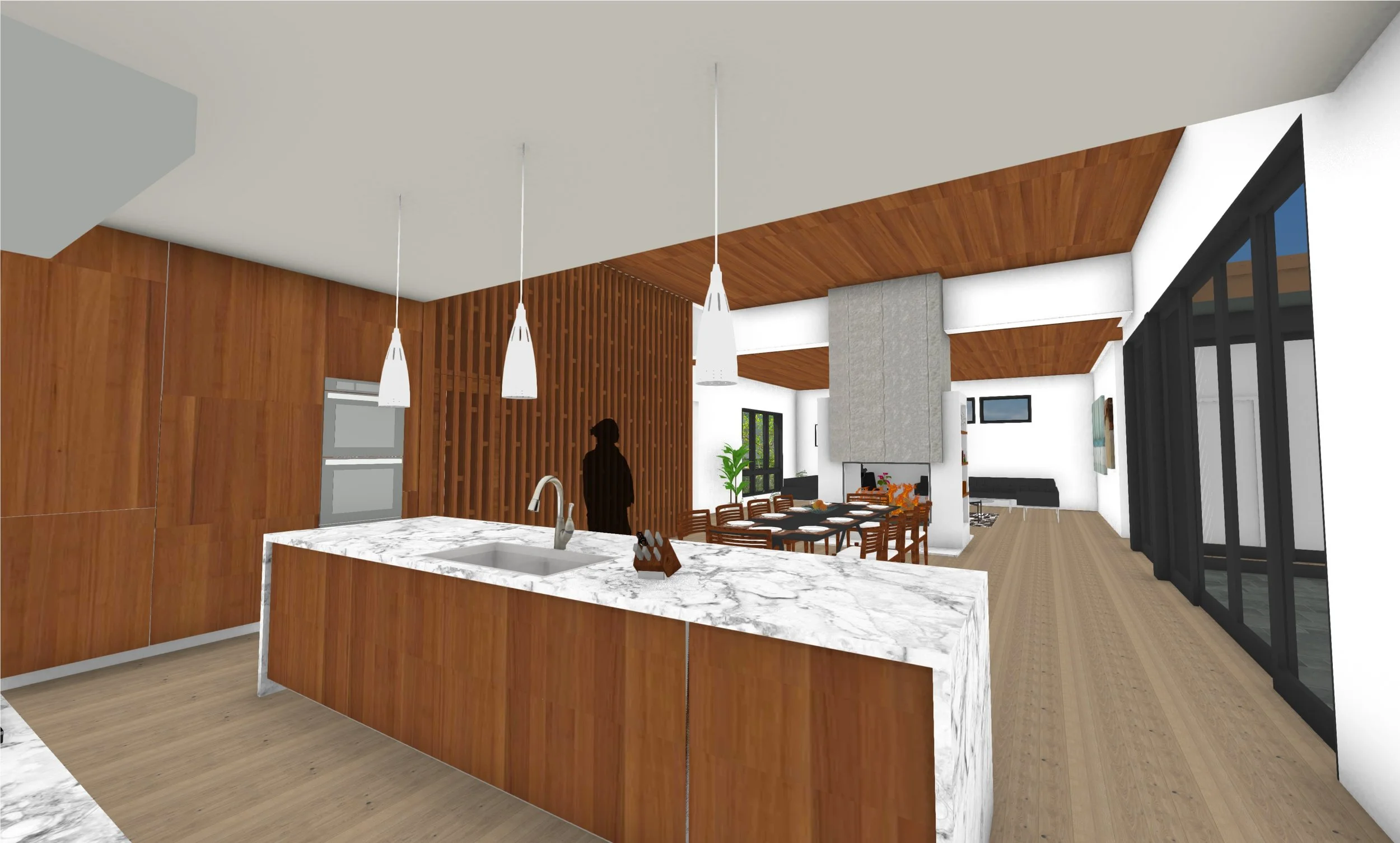 Bird's Eye Lake Front — Kipnis Architecture + Planning