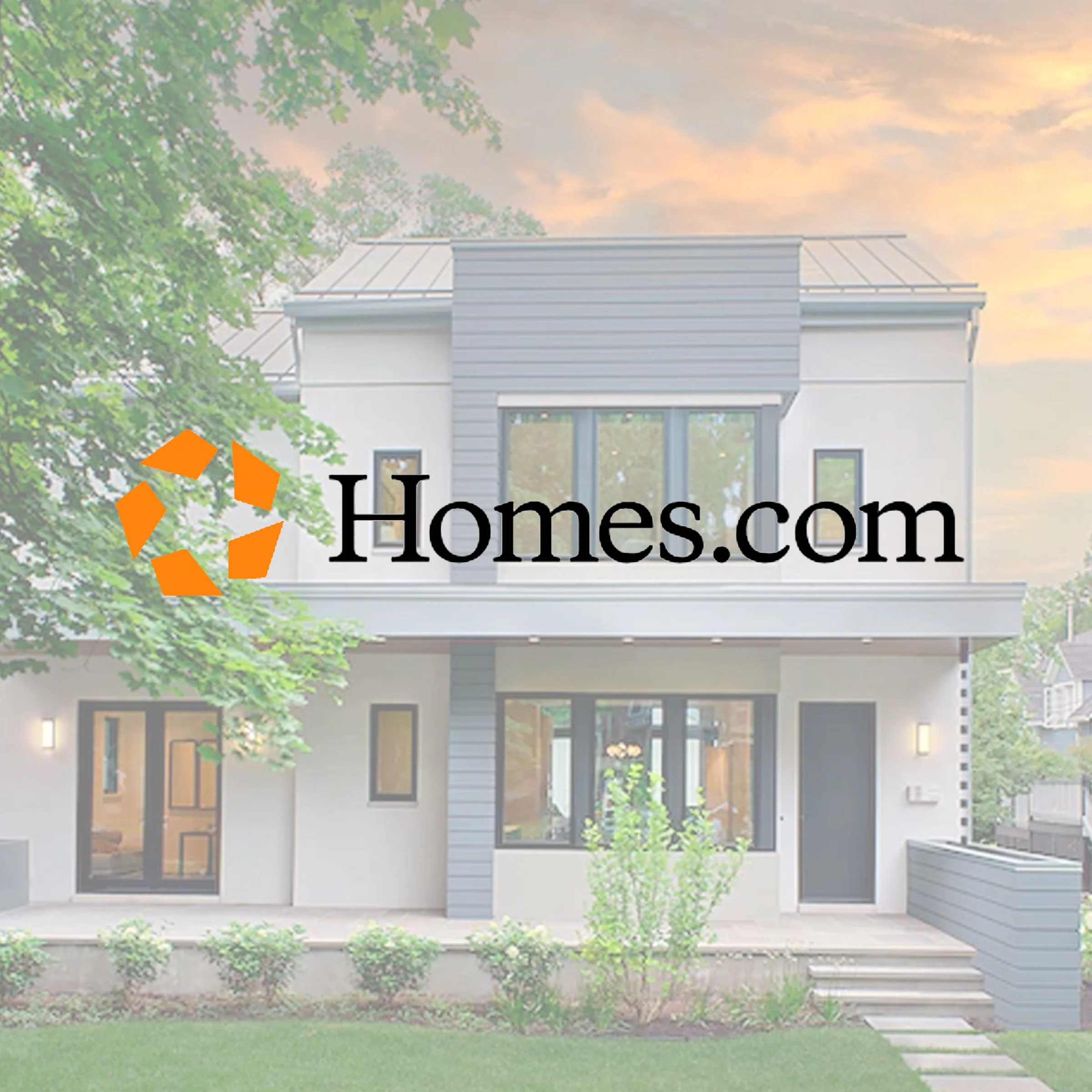 How a Chicago suburb, and a former WNBA executive, got their first 'passive home' 