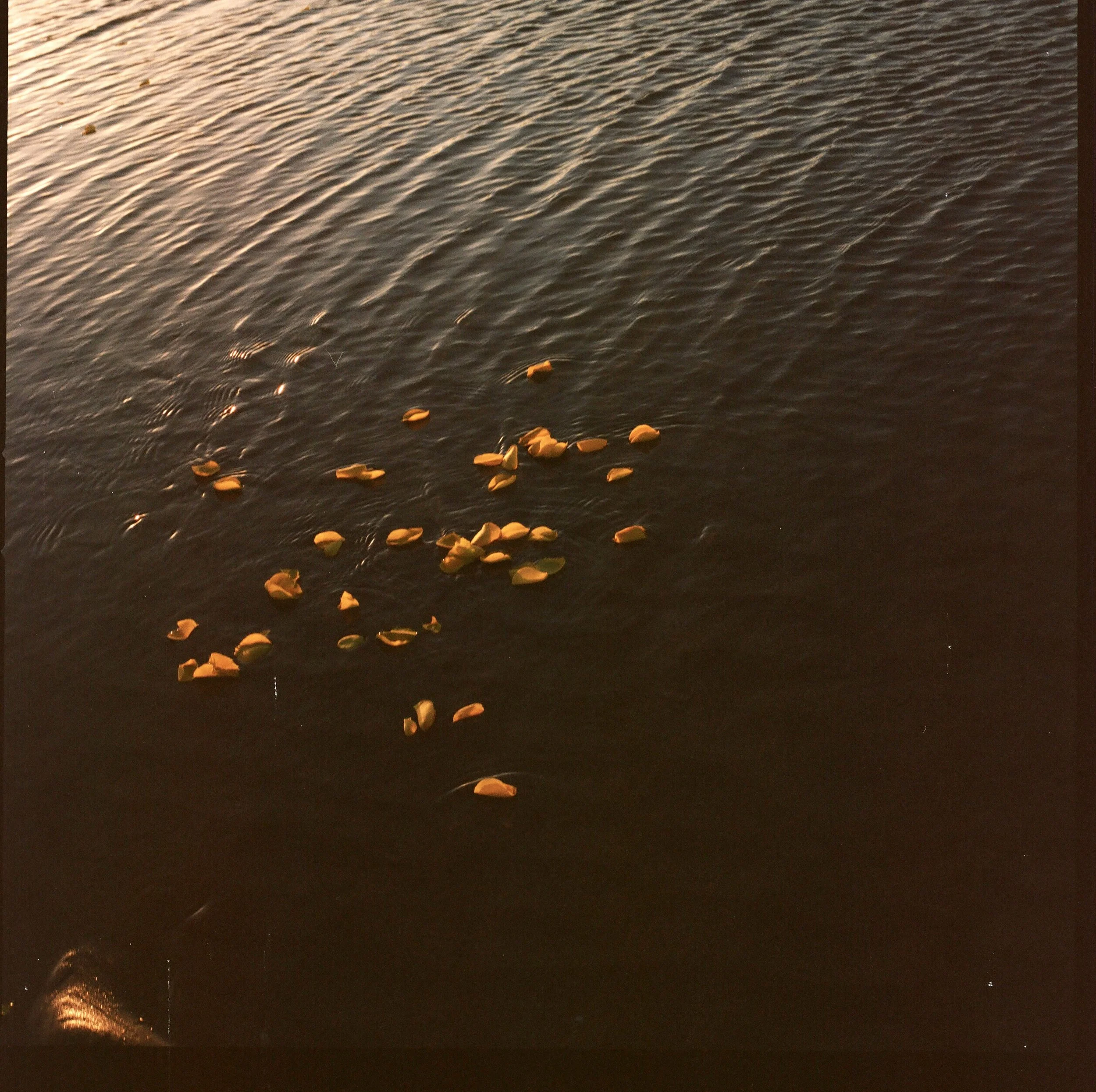 201201000000010012.jpg