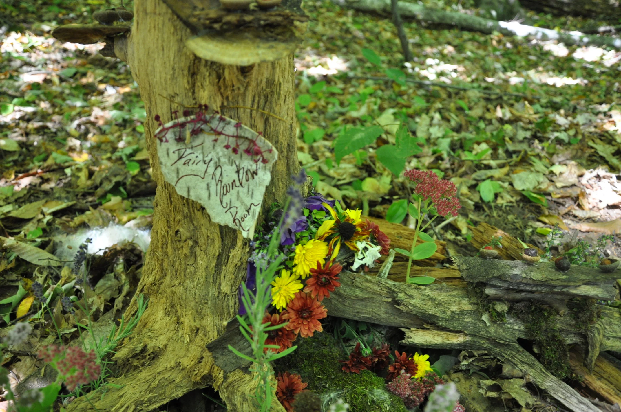   Photo by Katie Hamlin  