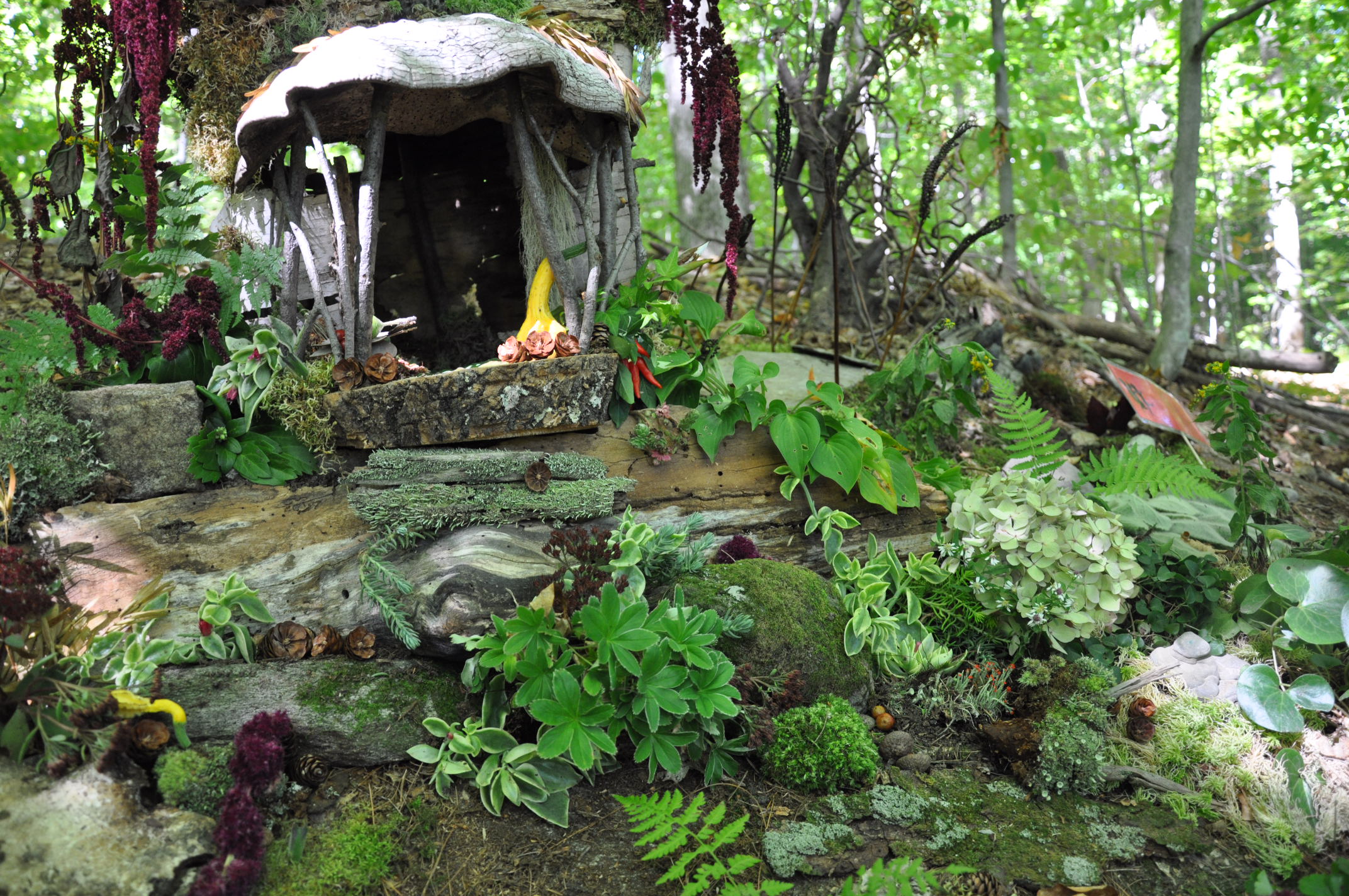   Photo by Katie Hamlin  