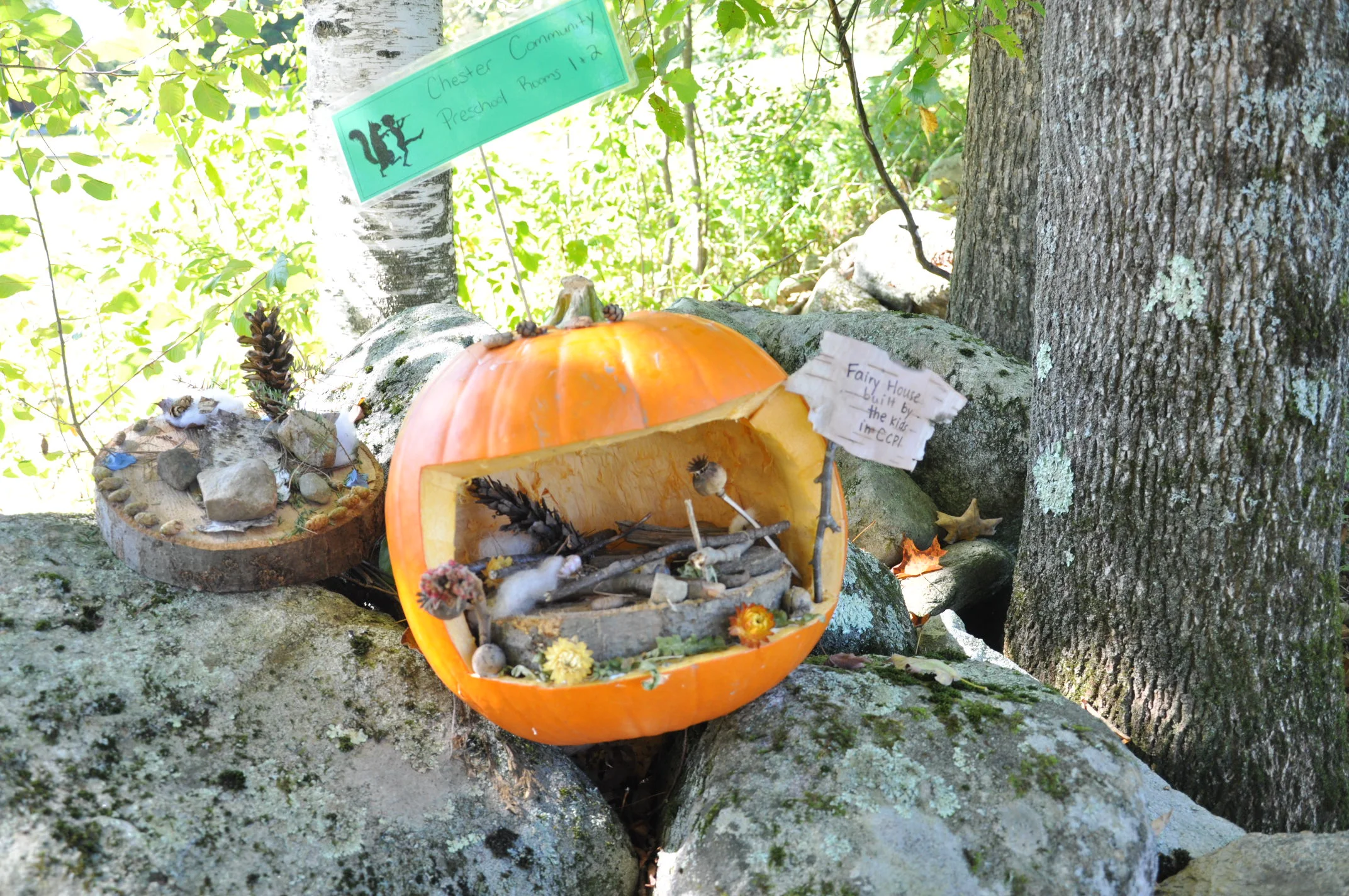 DSC_0972.JPG
