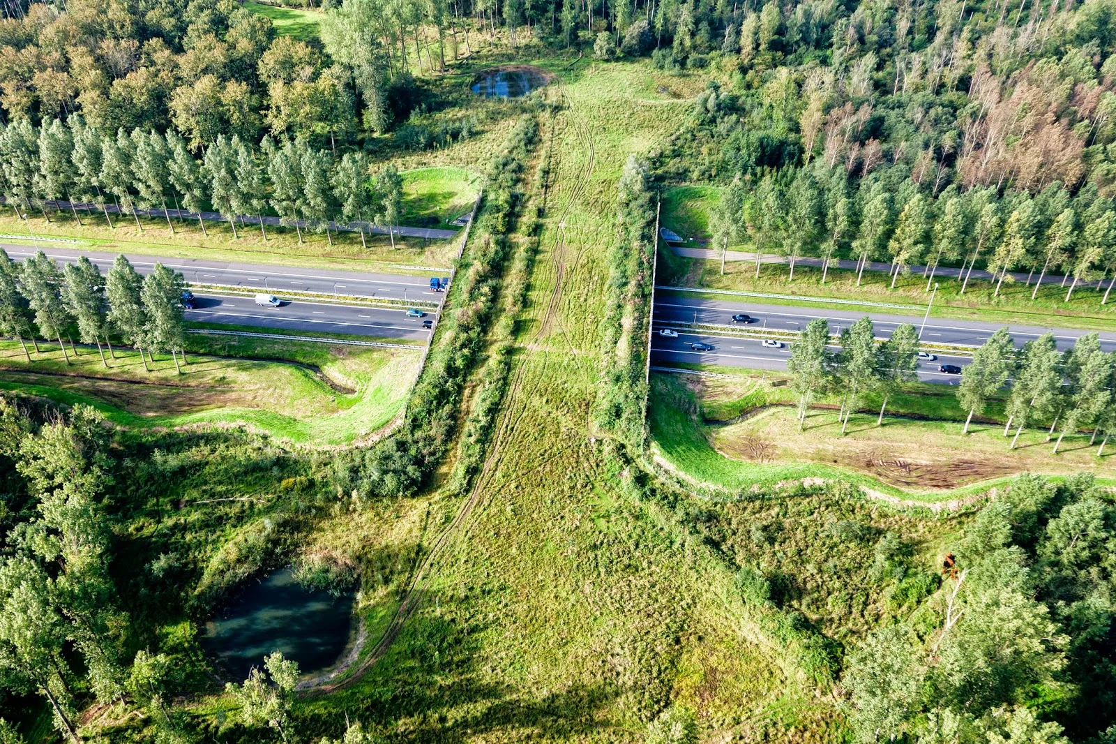 North Brabant province, Netherlands