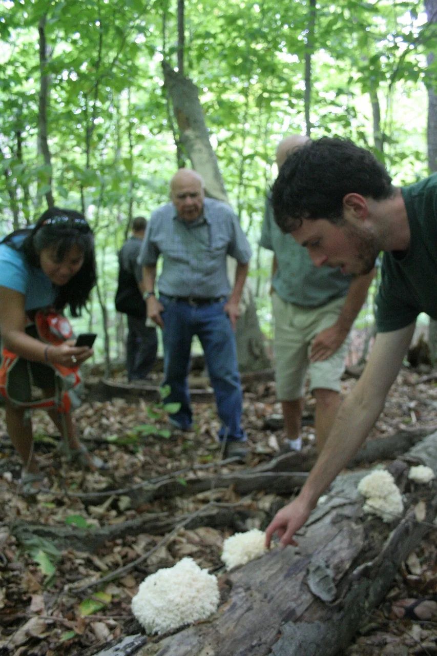 Ari points to Lion's Mane during a foray.