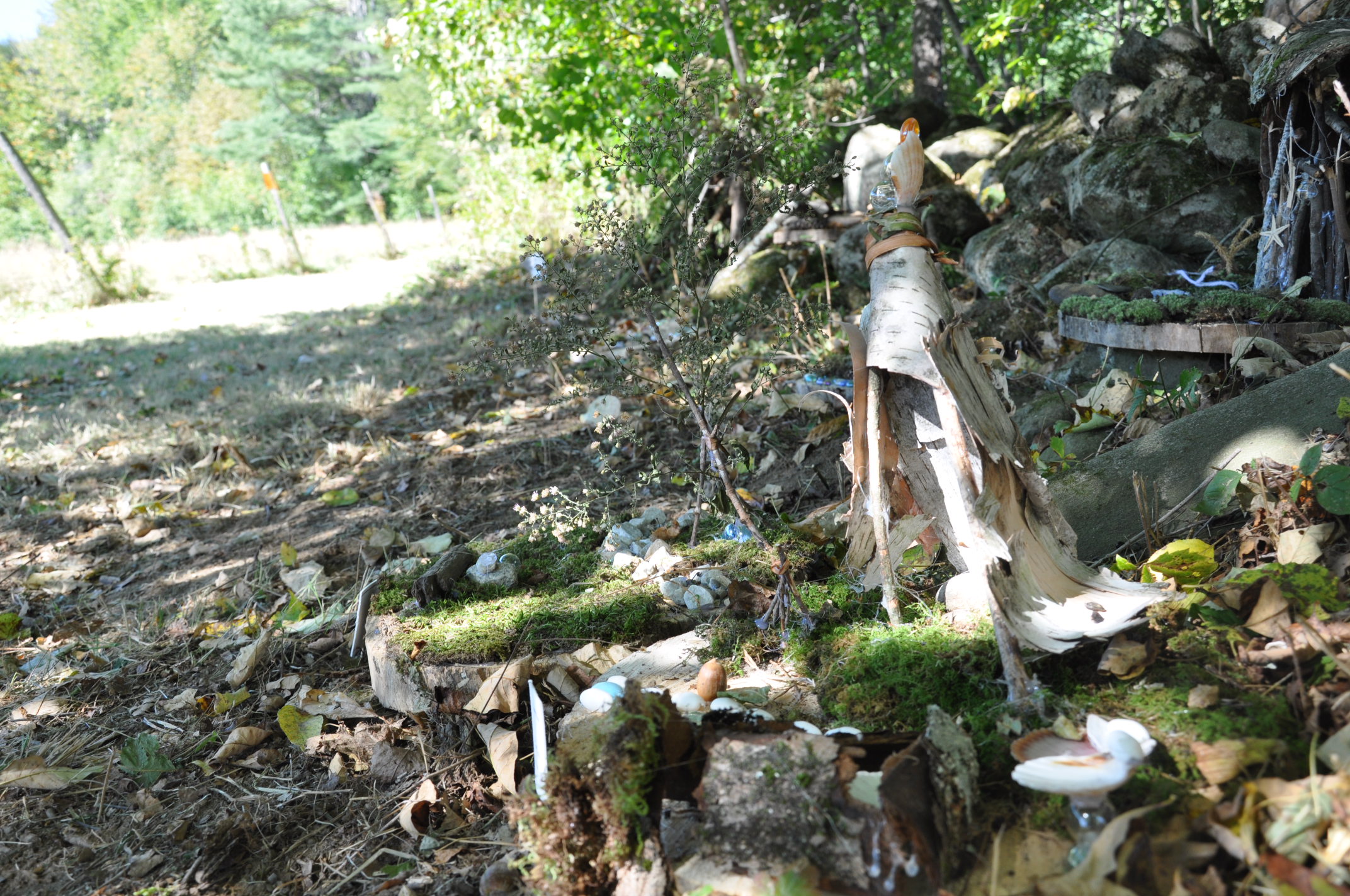 DSC_0137.JPG