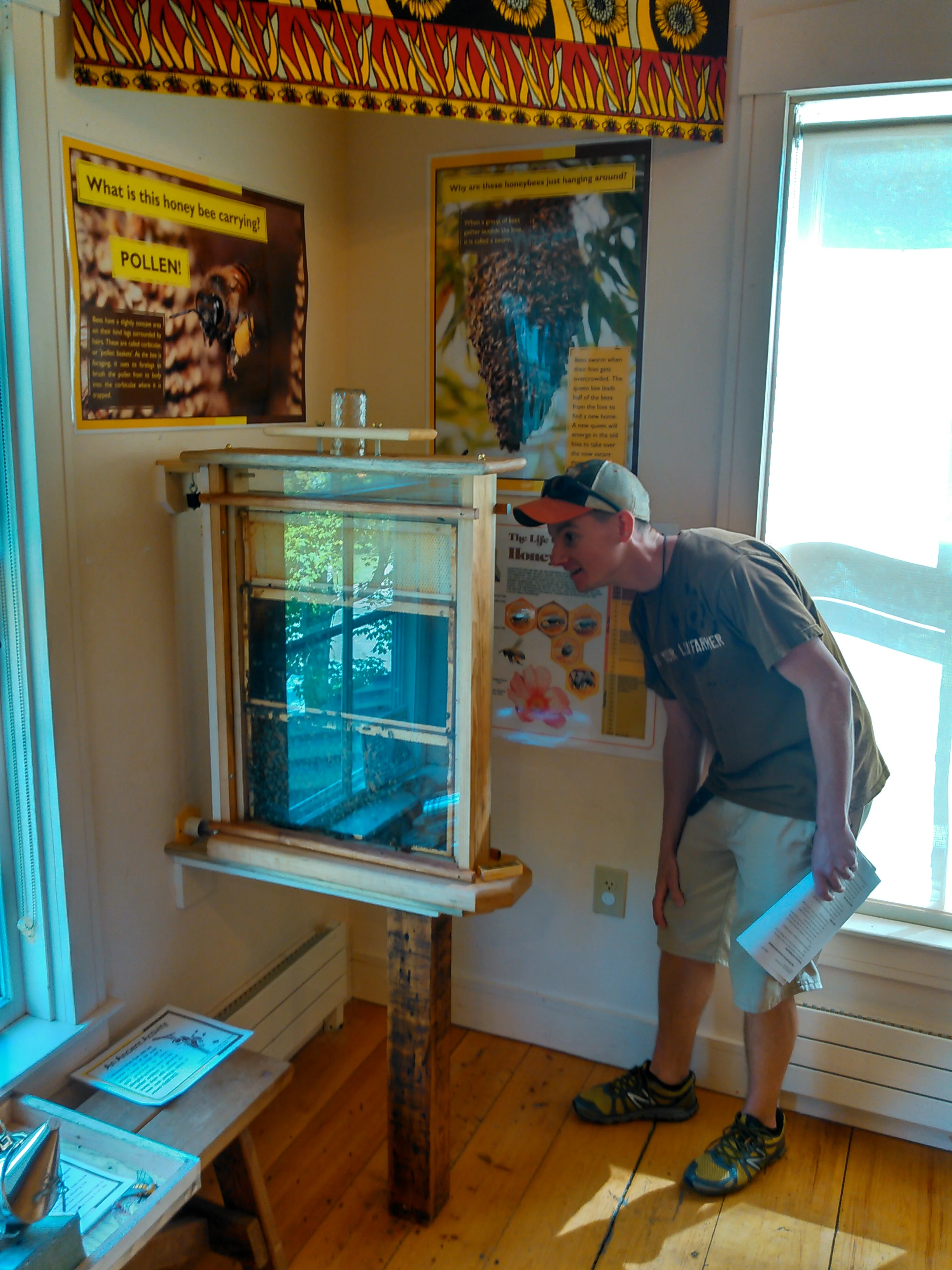 Environmental Educator Jake Pipp checks out the hive