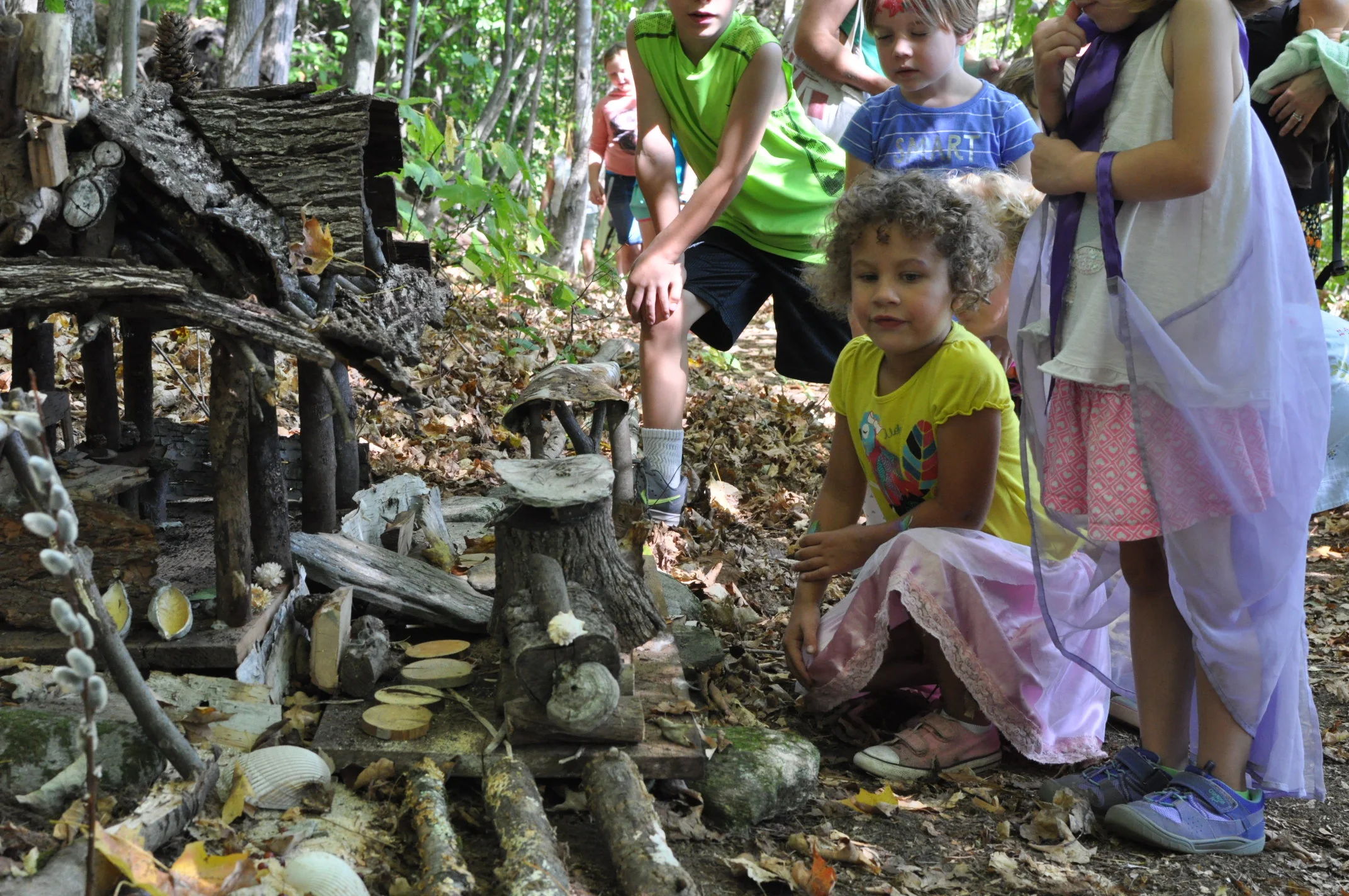 10th Annual Fairy House Festival Sunday — The Nature Museum