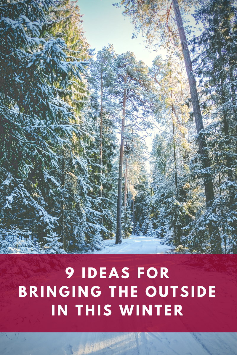 9 ideas for bringing the outside in this winter.png