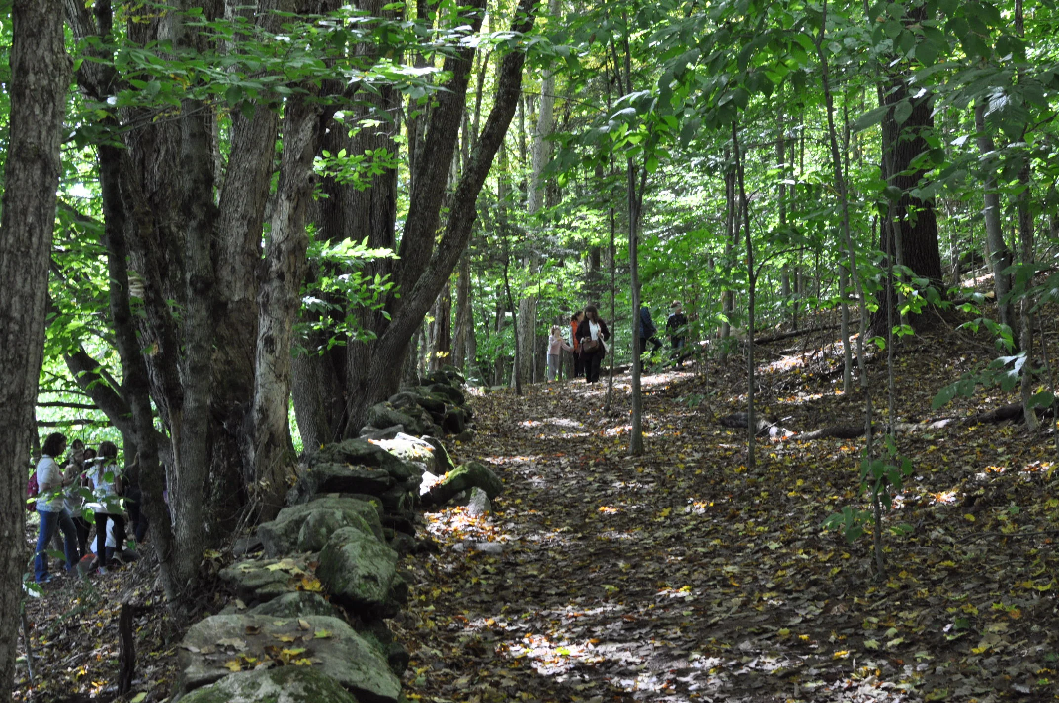 DSC_0701.JPG