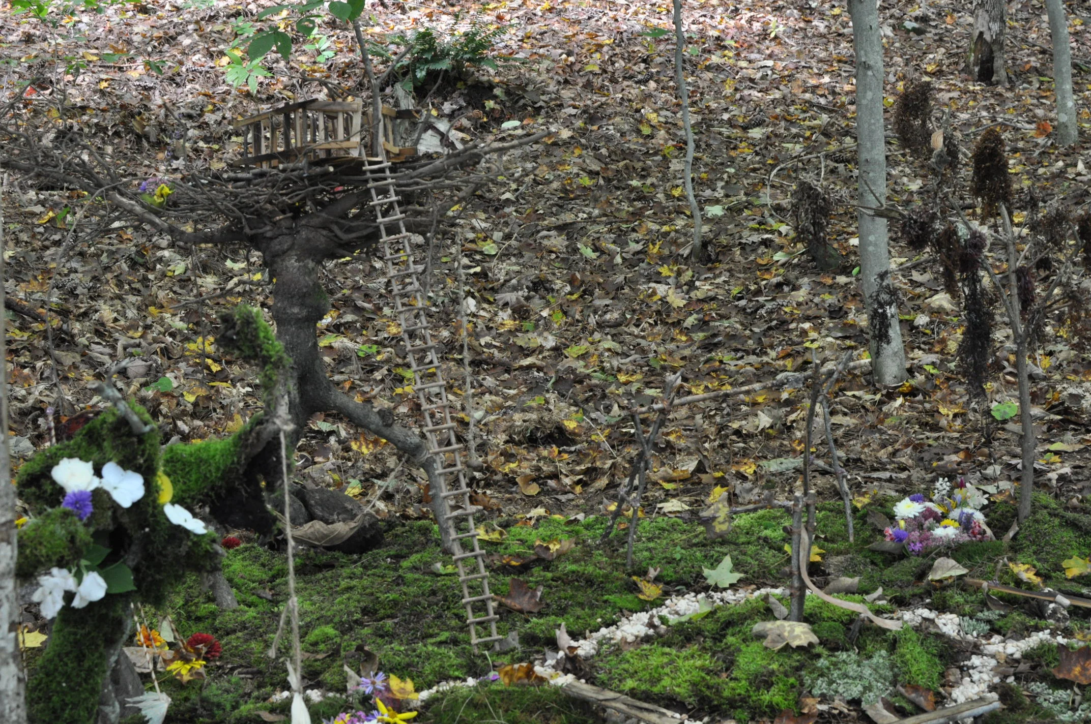 DSC_0714.JPG