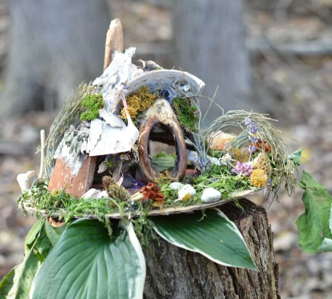 The Annual Fairy House Festival — The Nature Museum