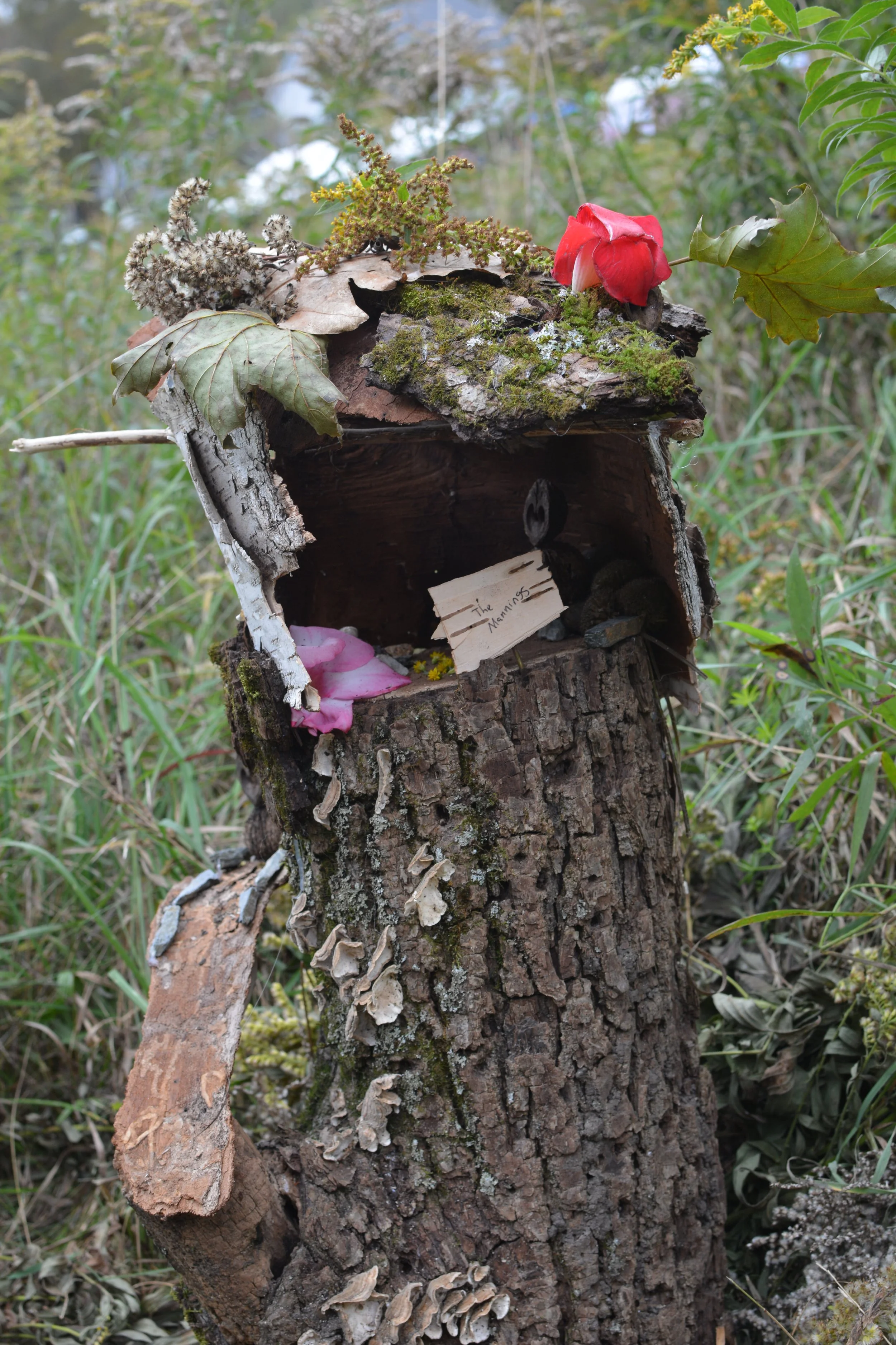 DSC_1854.JPG