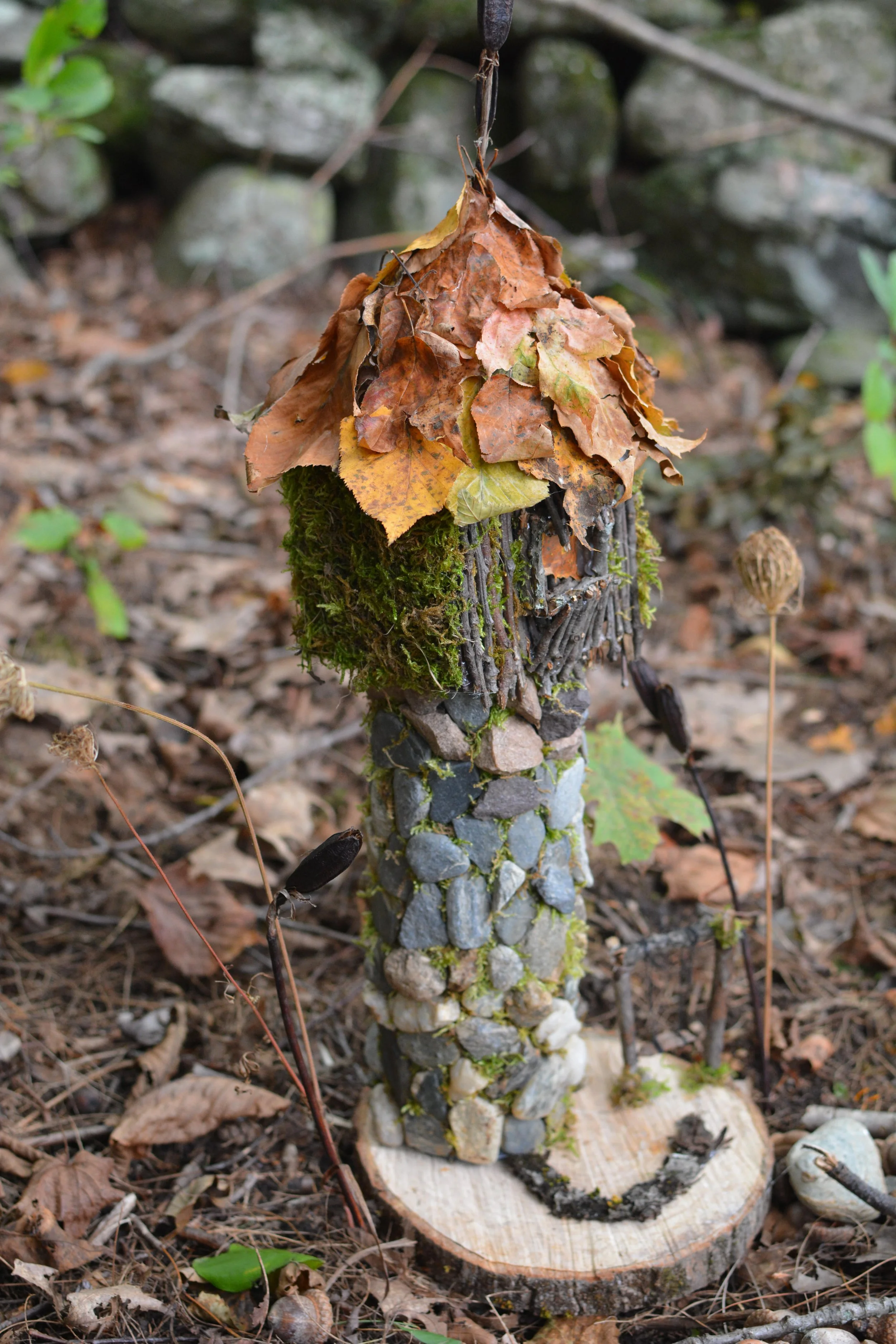 DSC_1882.JPG
