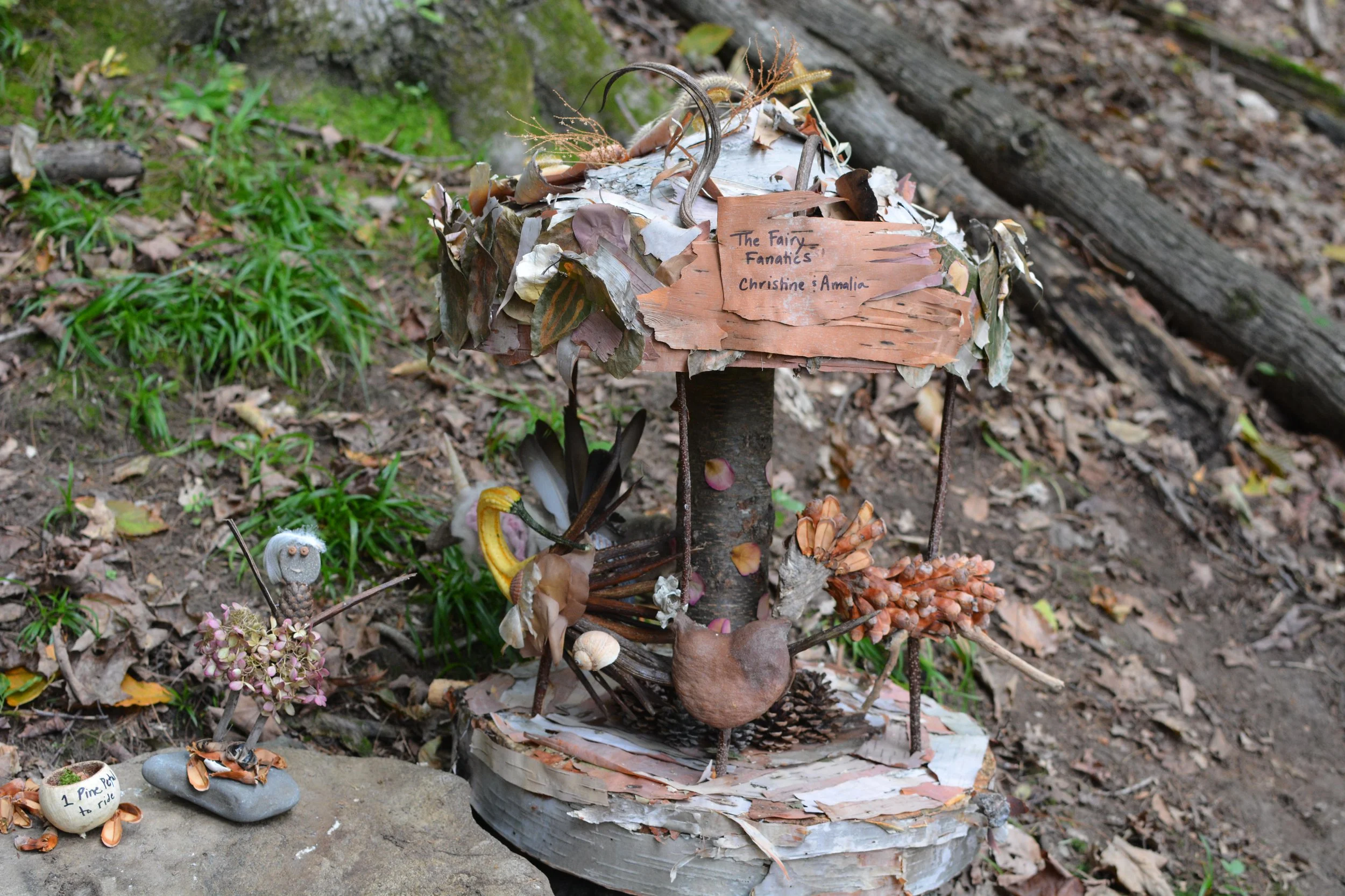 DSC_1918.JPG