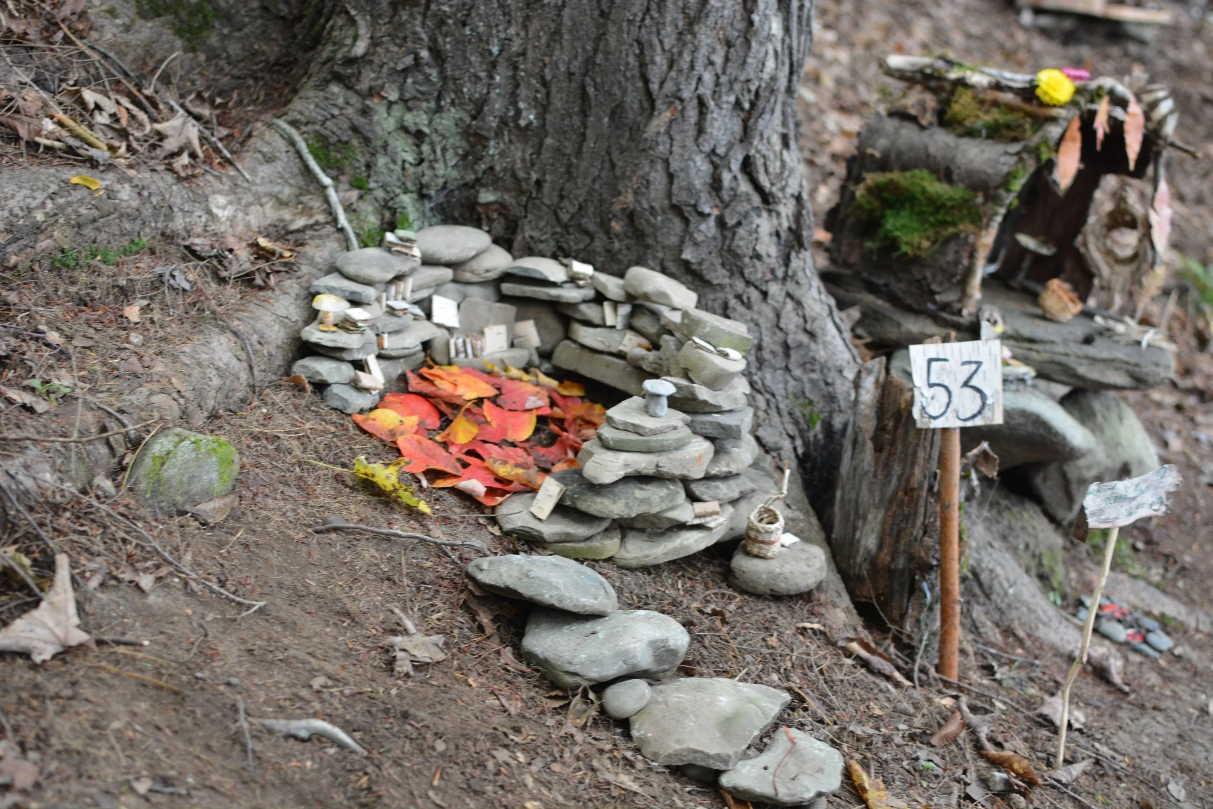 DSC_1925.JPG