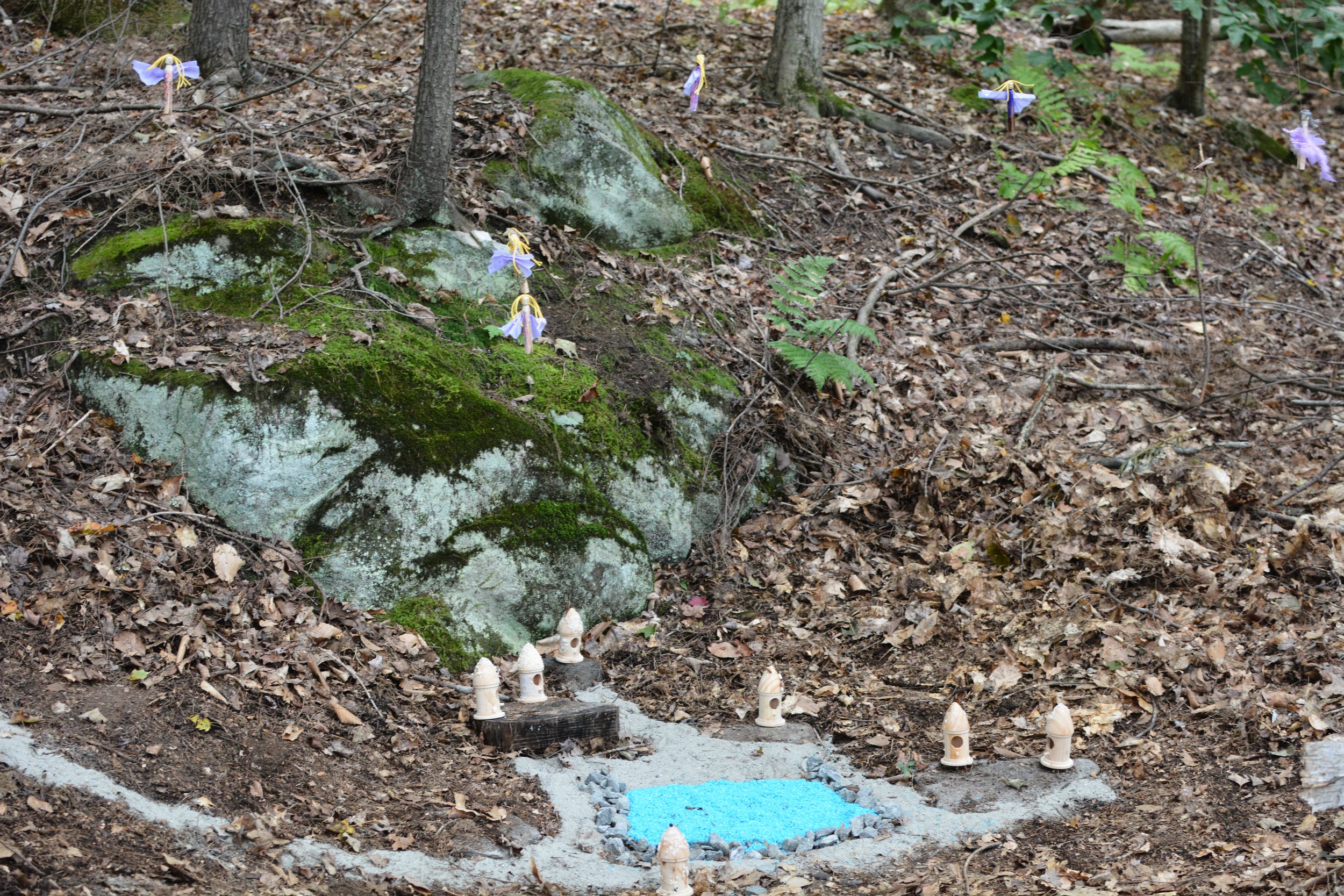 DSC_1935.JPG