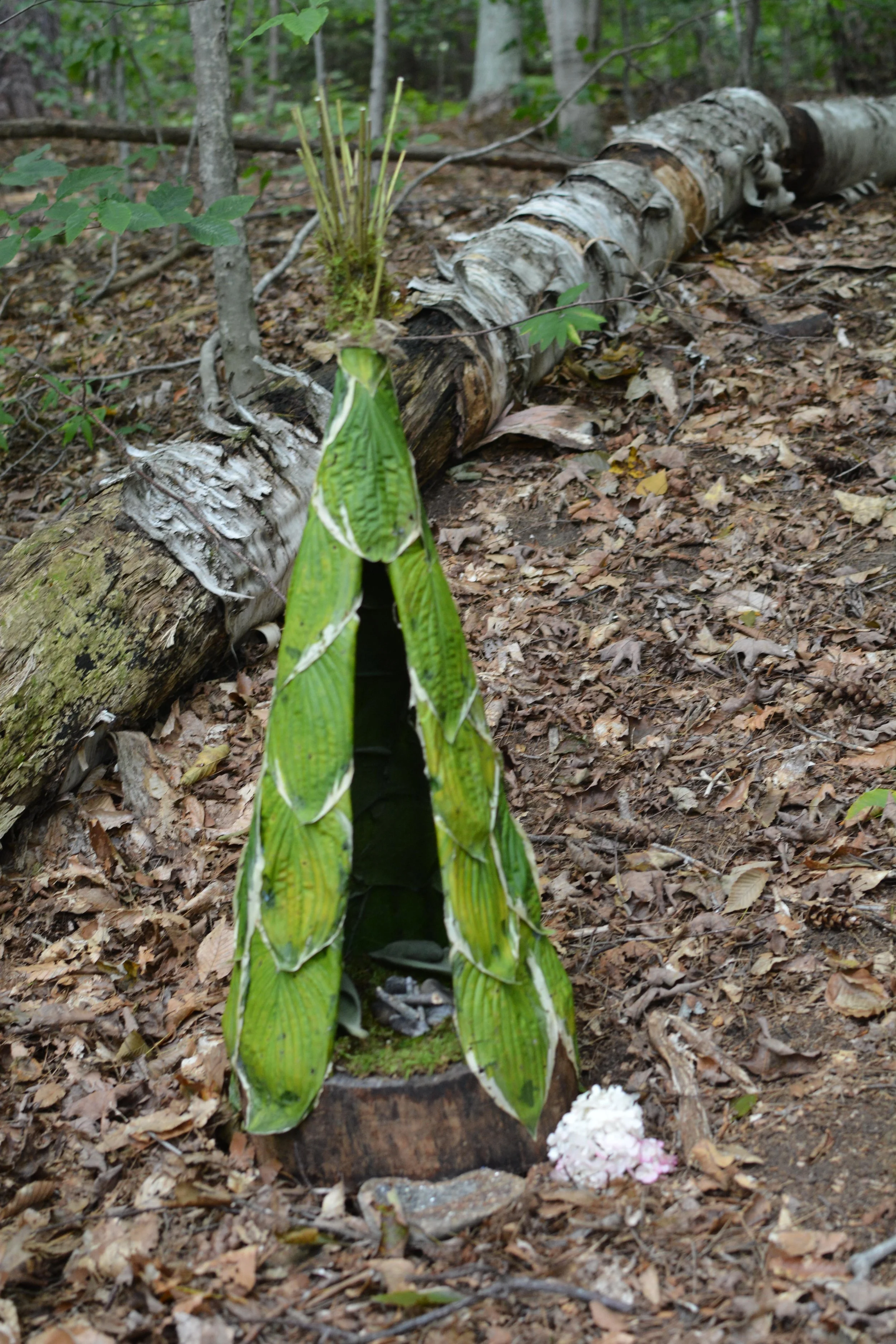DSC_1959.JPG