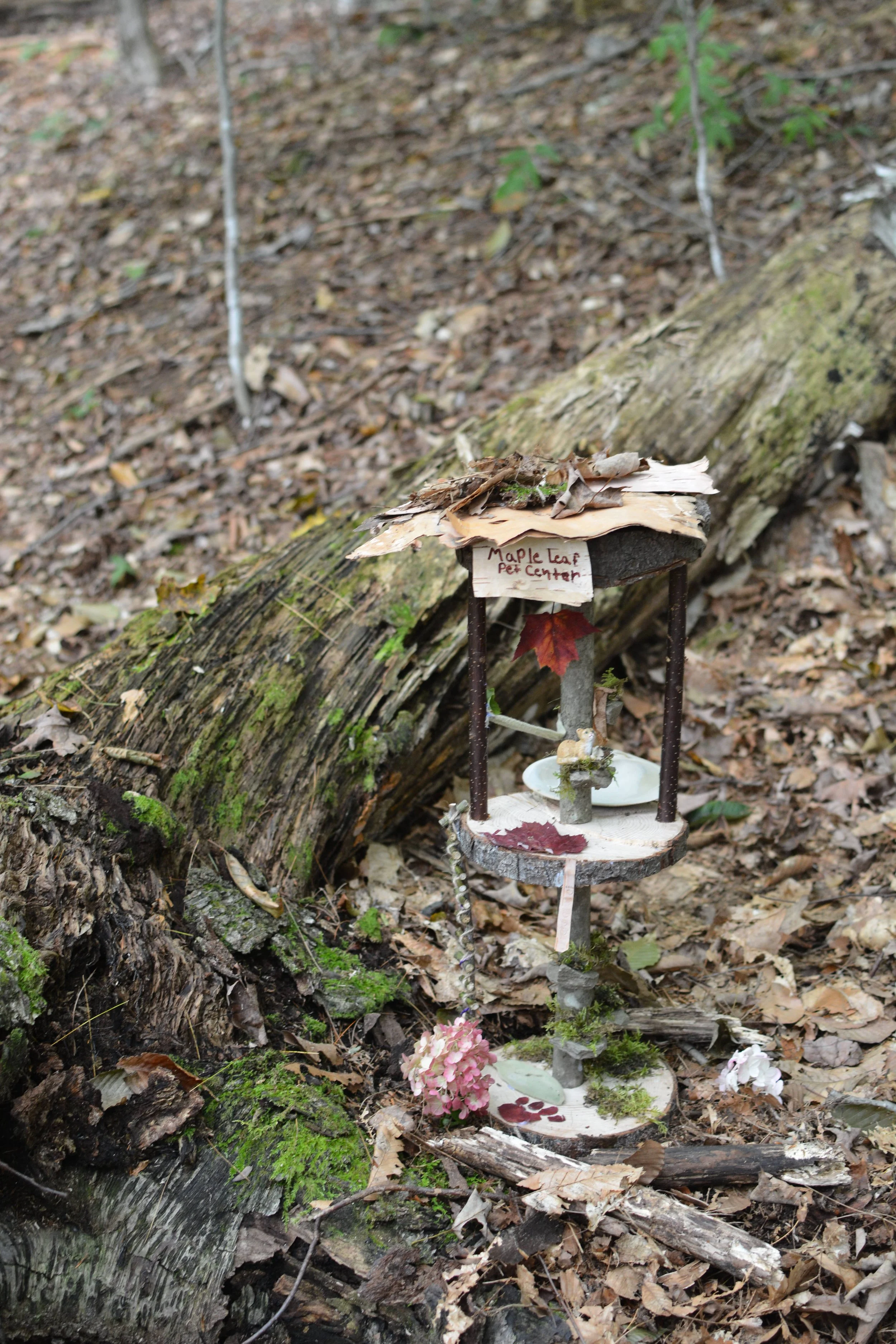 DSC_1960.JPG