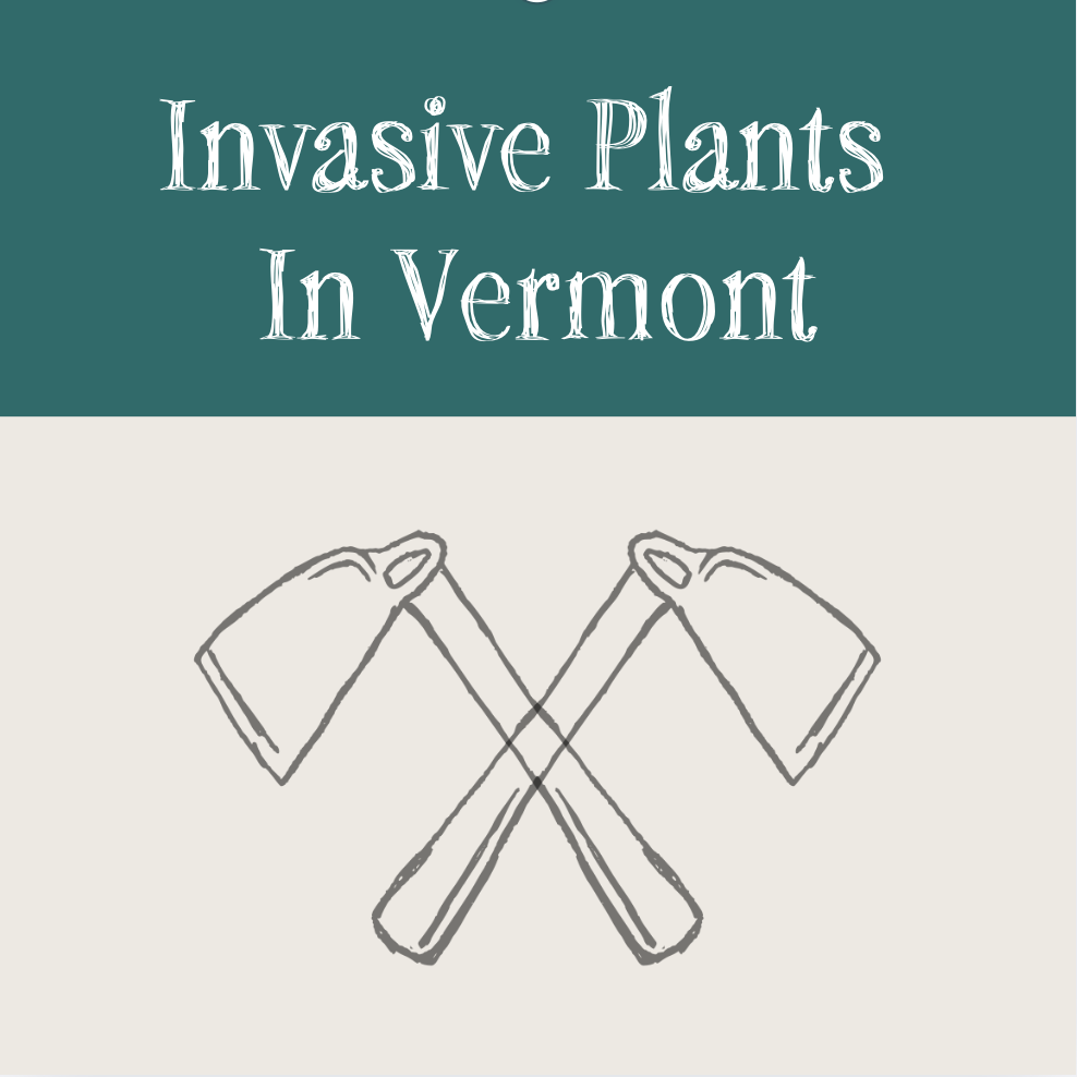 Invasive Plants in Vermont: What, Why, and How