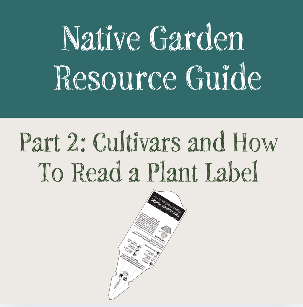 Native Gardens, Part Two: How to Spot a Cultivar 