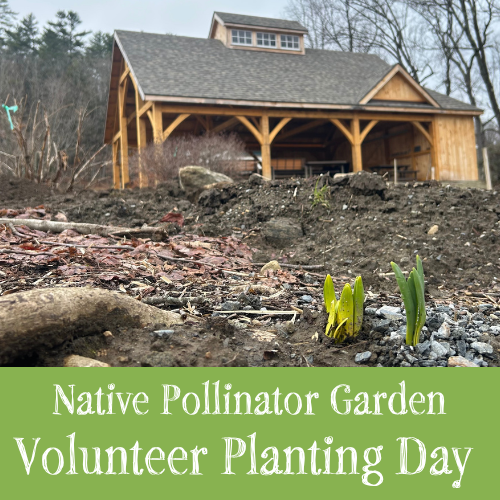 Native Pollinator Garden Volunteer Planting Day