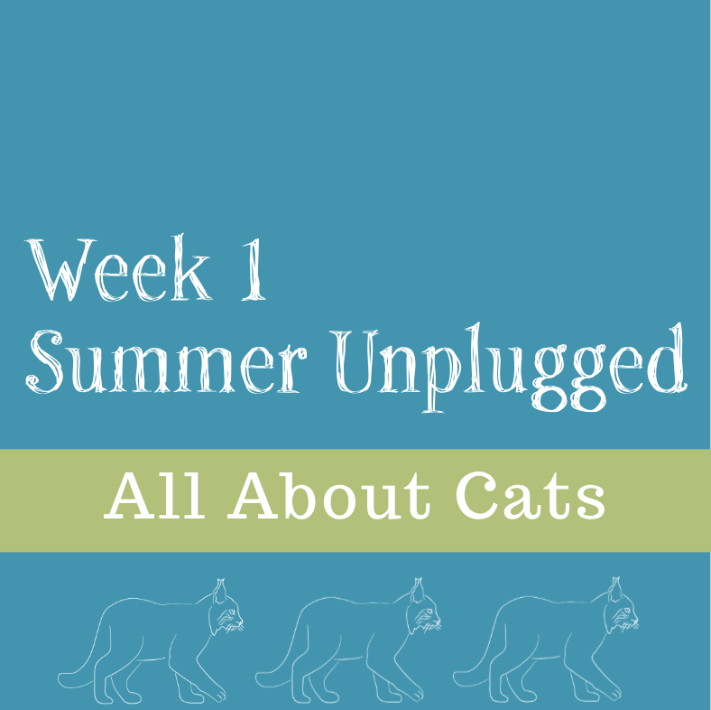 Cats -- Week One of Summer Unplugged 