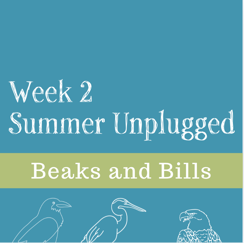 Beak and Bills -- Week Two of Summer Unplugged 