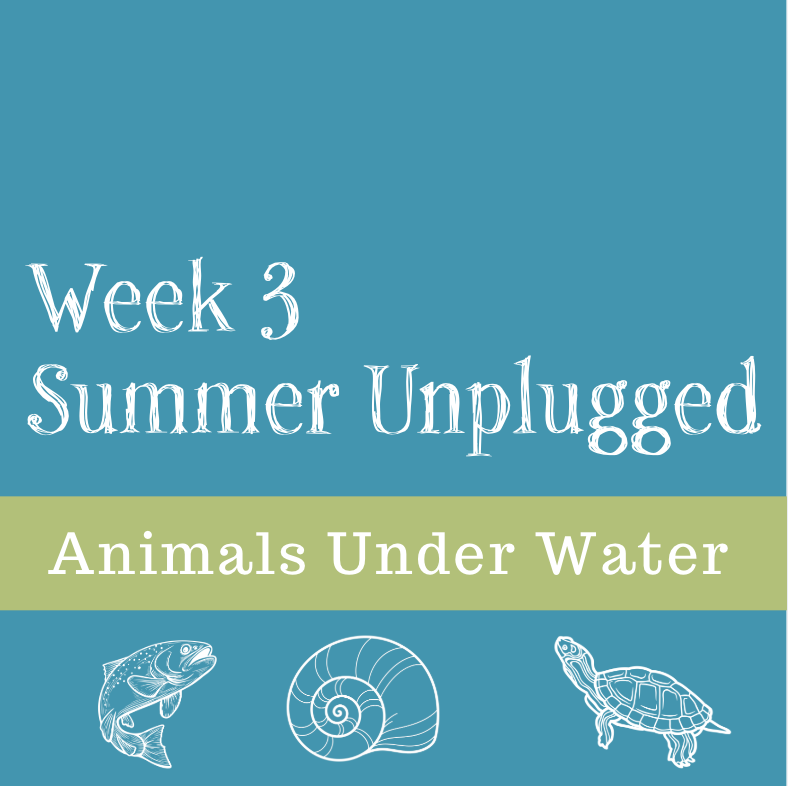 Underwater Animals-- Week Three of Summer Unplugged 
