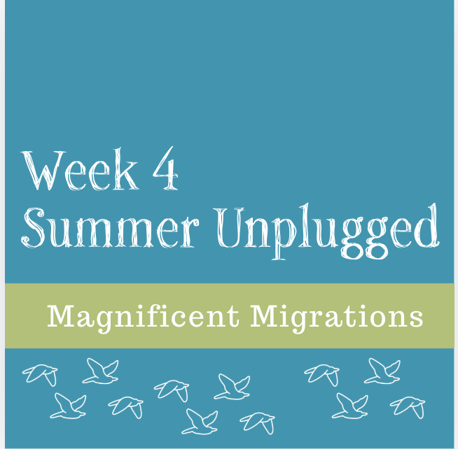 Magnificent Migration-- Week Four Summer Unplugged 