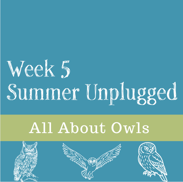 All About Owls-- Week Five Summer Unplugged 