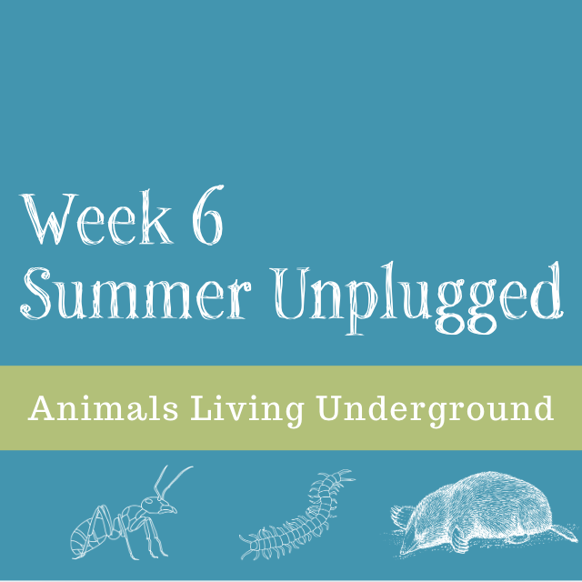 Who Lives underground-- Week Six Summer Unplugged 