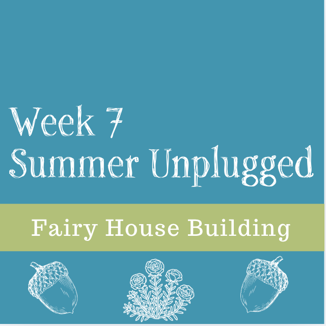 Fairy House Building-- Week Seven Summer Unplugged 