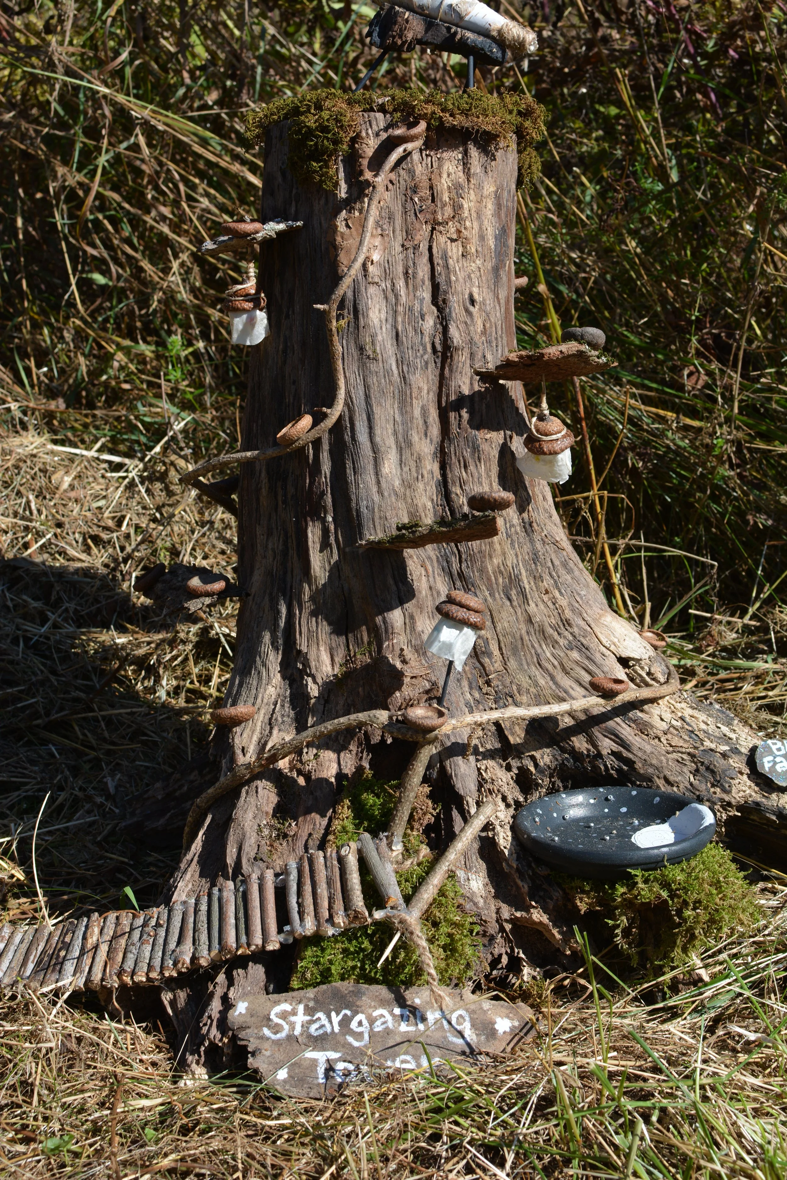 DSC_2656.JPG