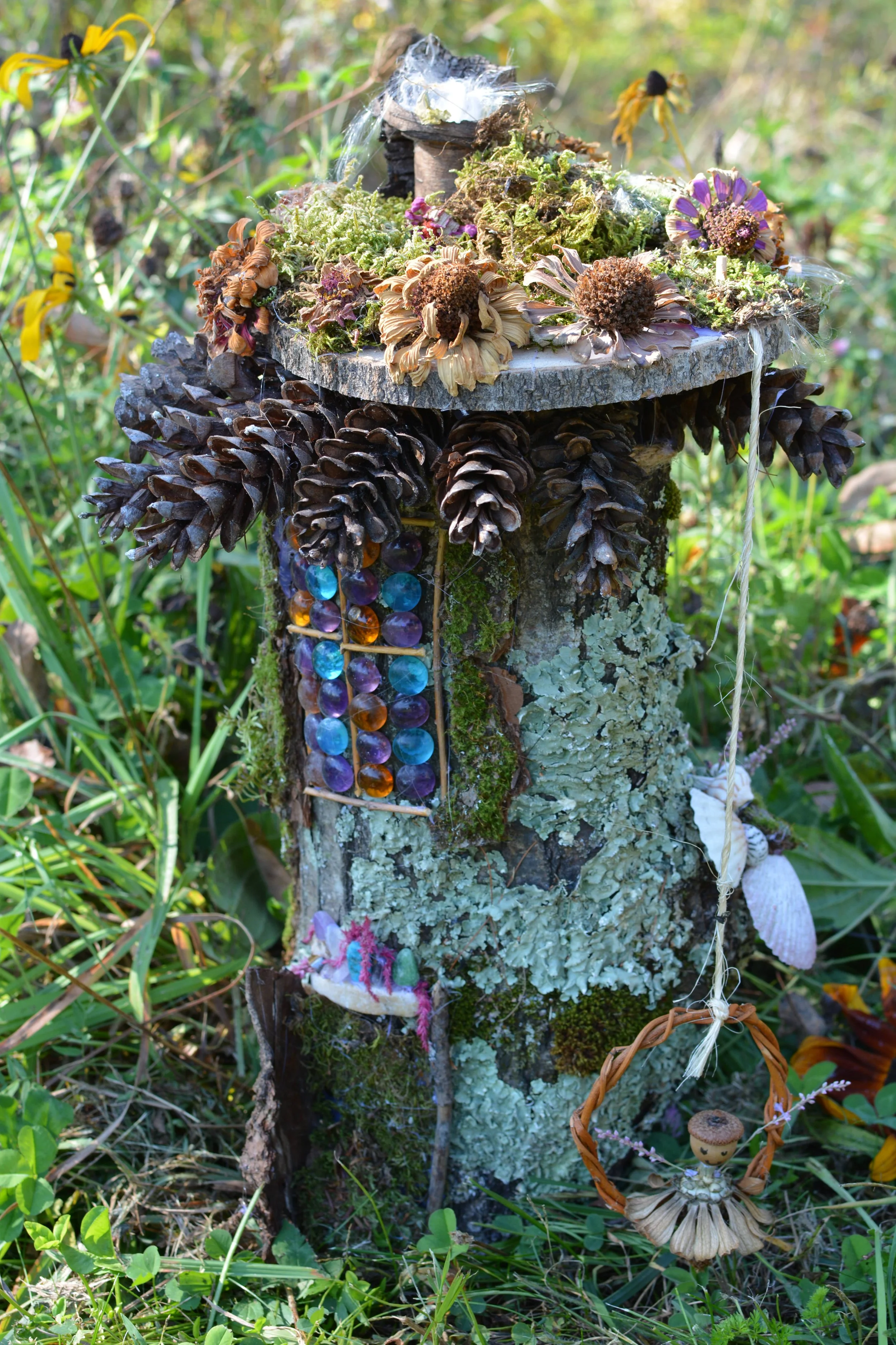DSC_2664.JPG