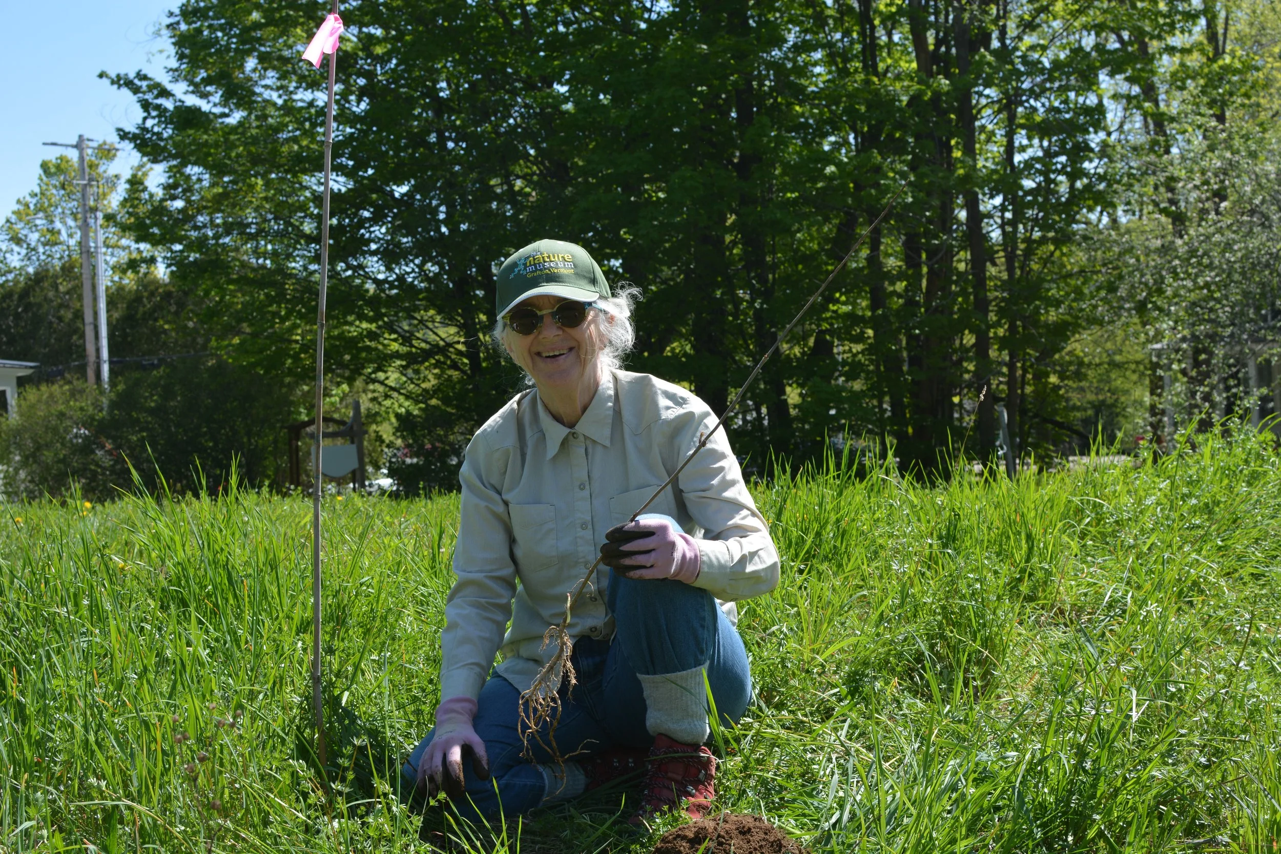 Native Pollinator Garden Volunteer Planting Day — The Nature Museum