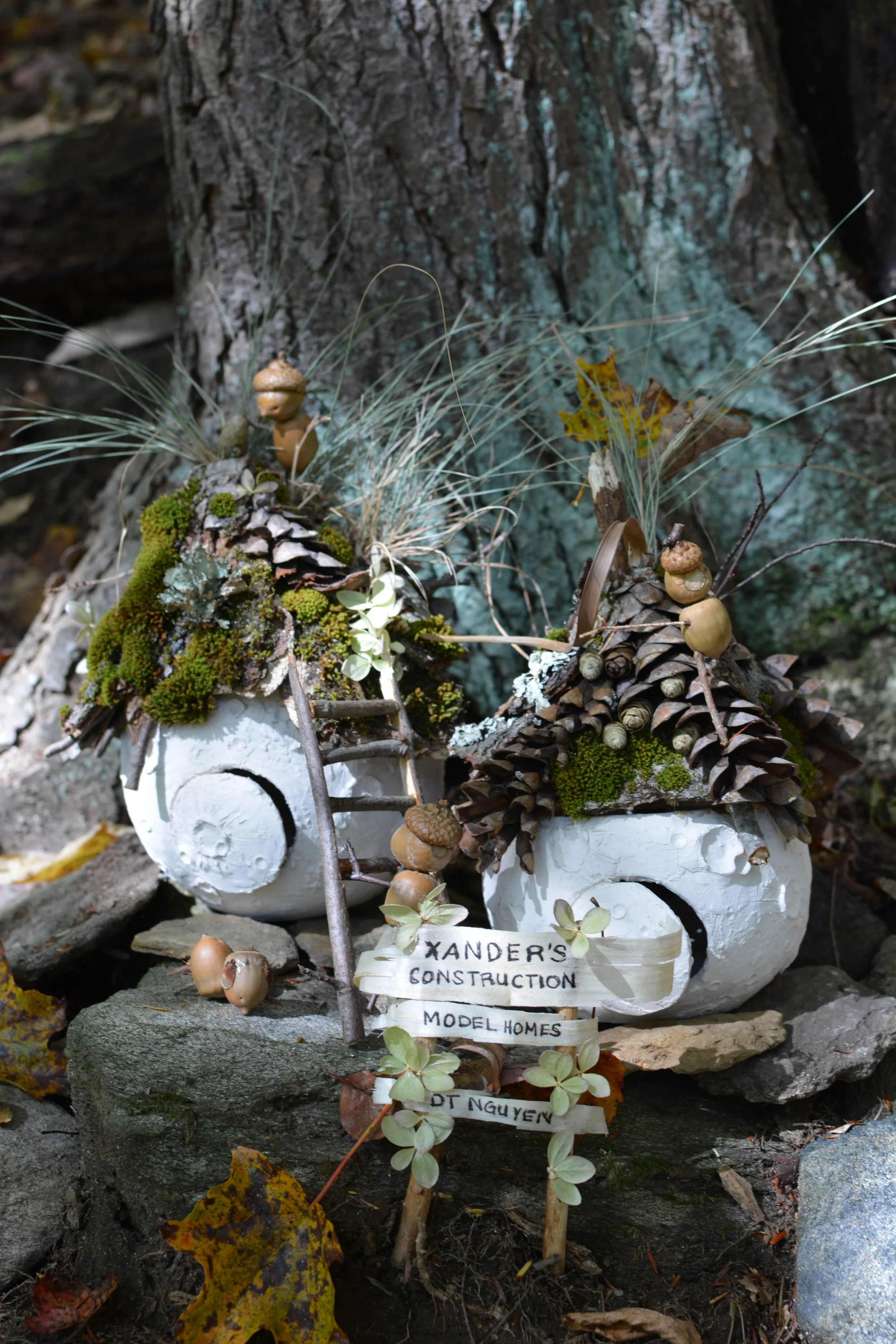 DSC_2714.JPG