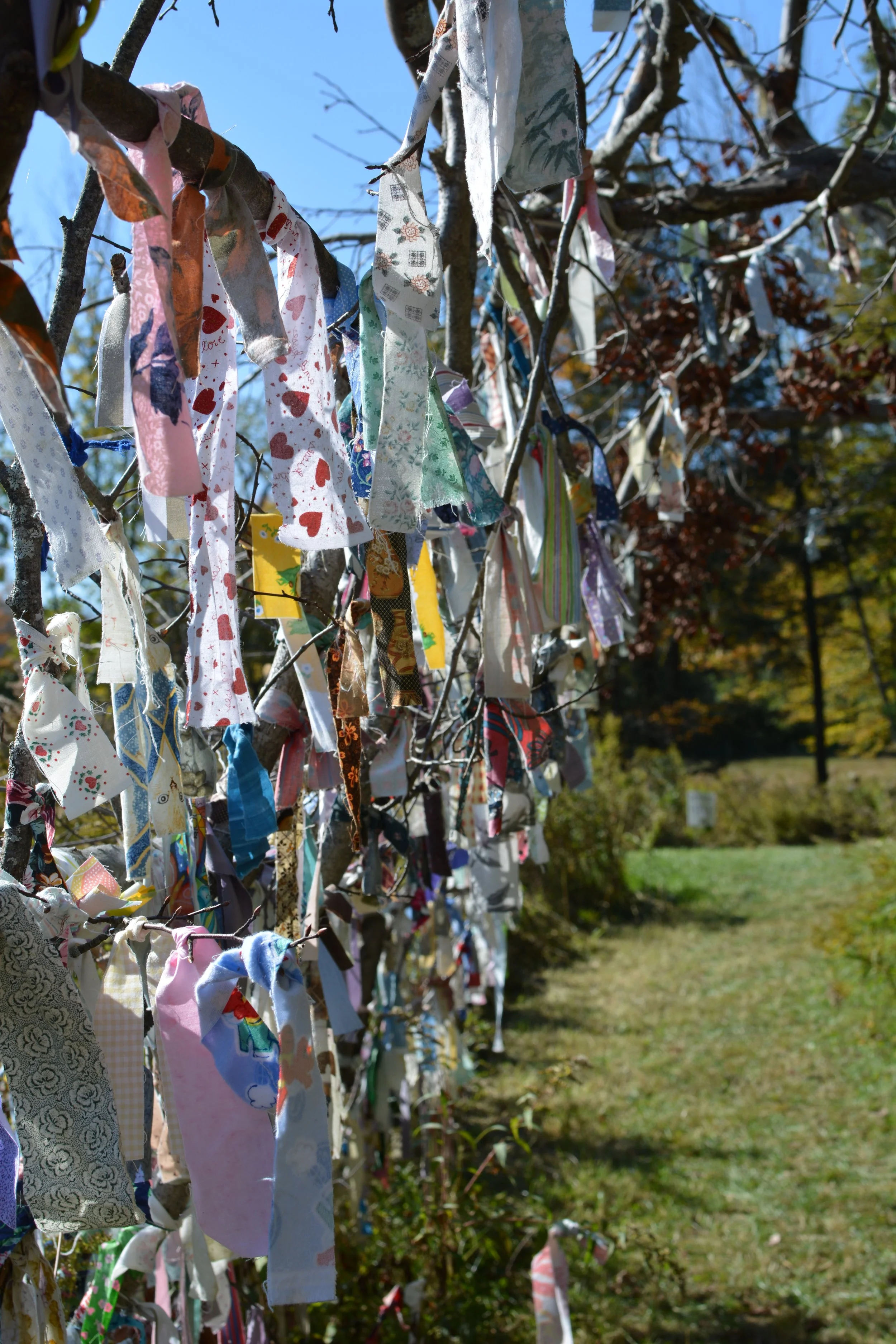 DSC_2676.JPG