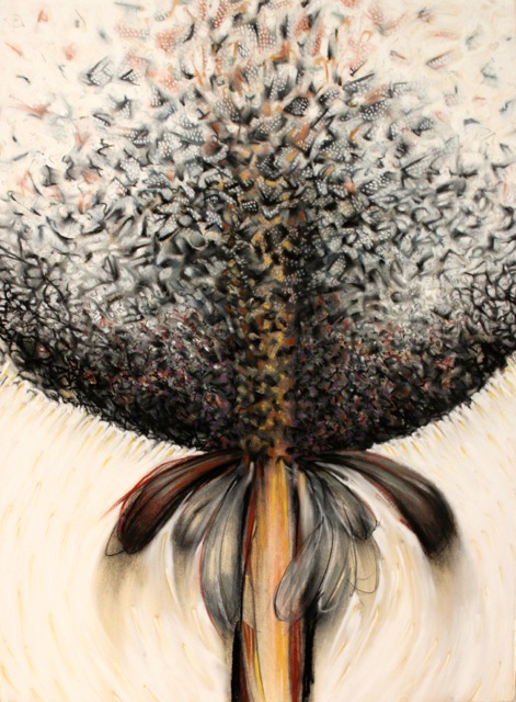 Open to Possibilities - ©Judith Cooper