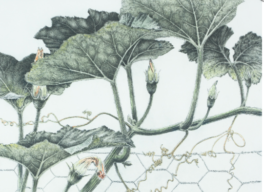 &lt;p&gt;&lt;strong&gt;ANN ELDRIDGE&lt;/strong&gt;etchings&lt;a href="/ann-eldridge"&gt;More →&lt;/a&gt;&lt;/p&gt;