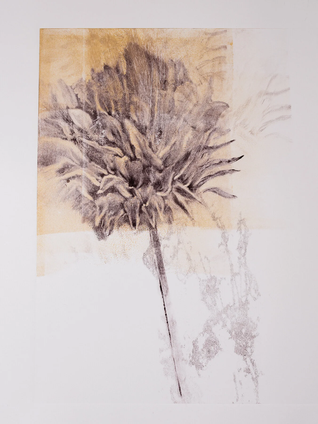 Artichoke Thistle", monotype, trace print, 22" x 18", SOLD