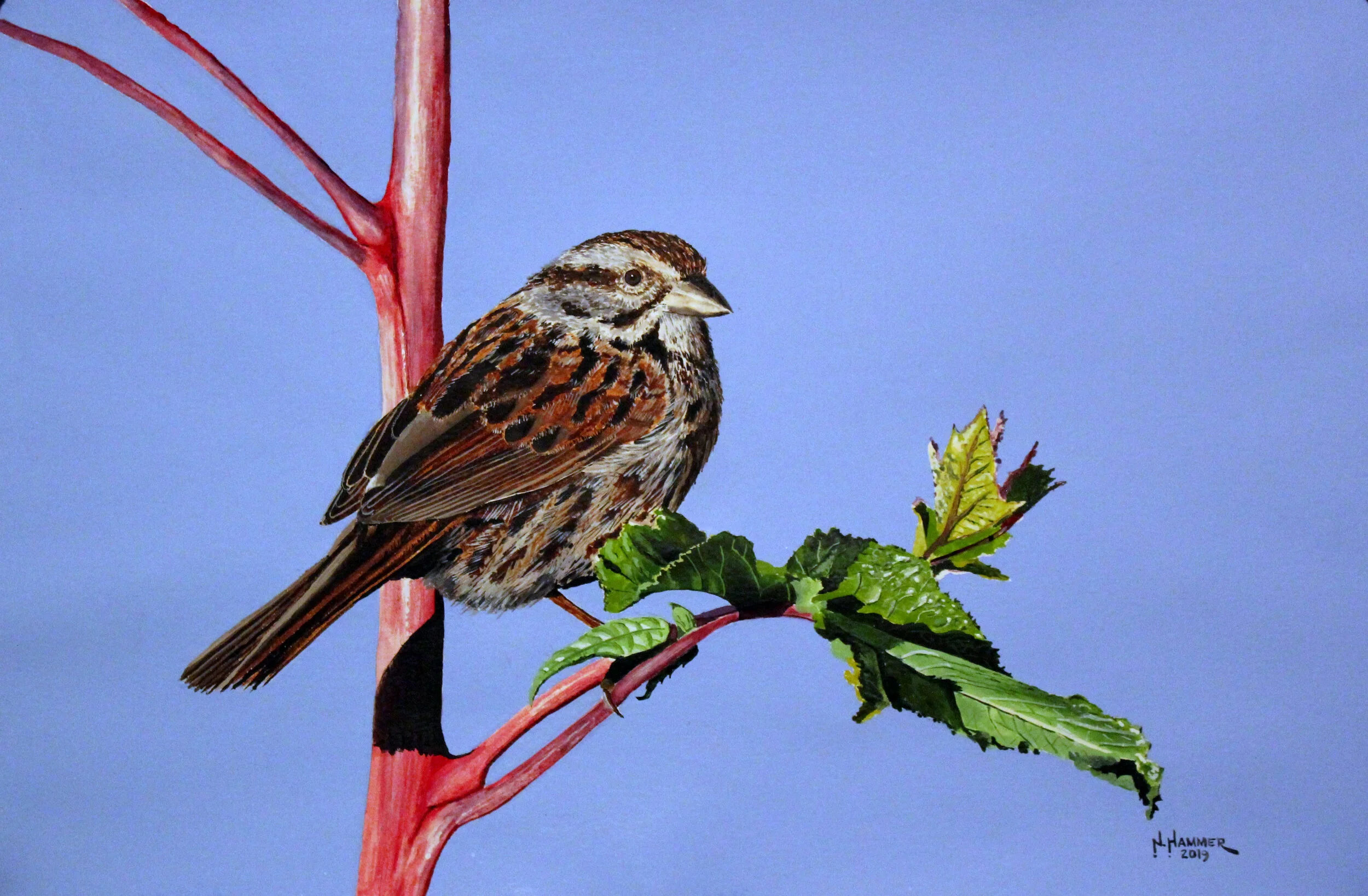 "Vesper Sparrow", watercolor, 12" x 18", $750 (framed)