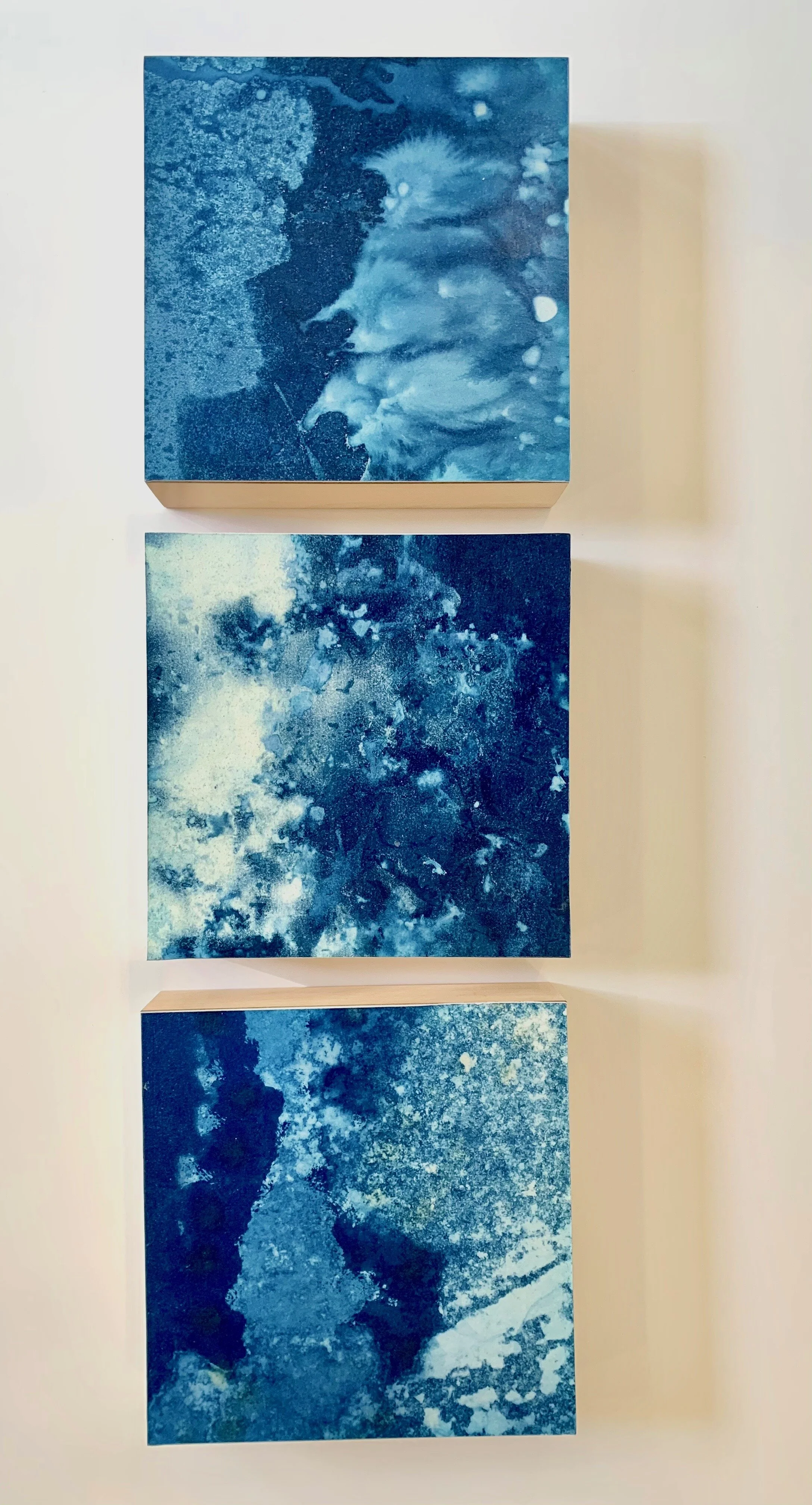 "In The Air", cyanotype, 8" x 8" panels, $150 each SOLD