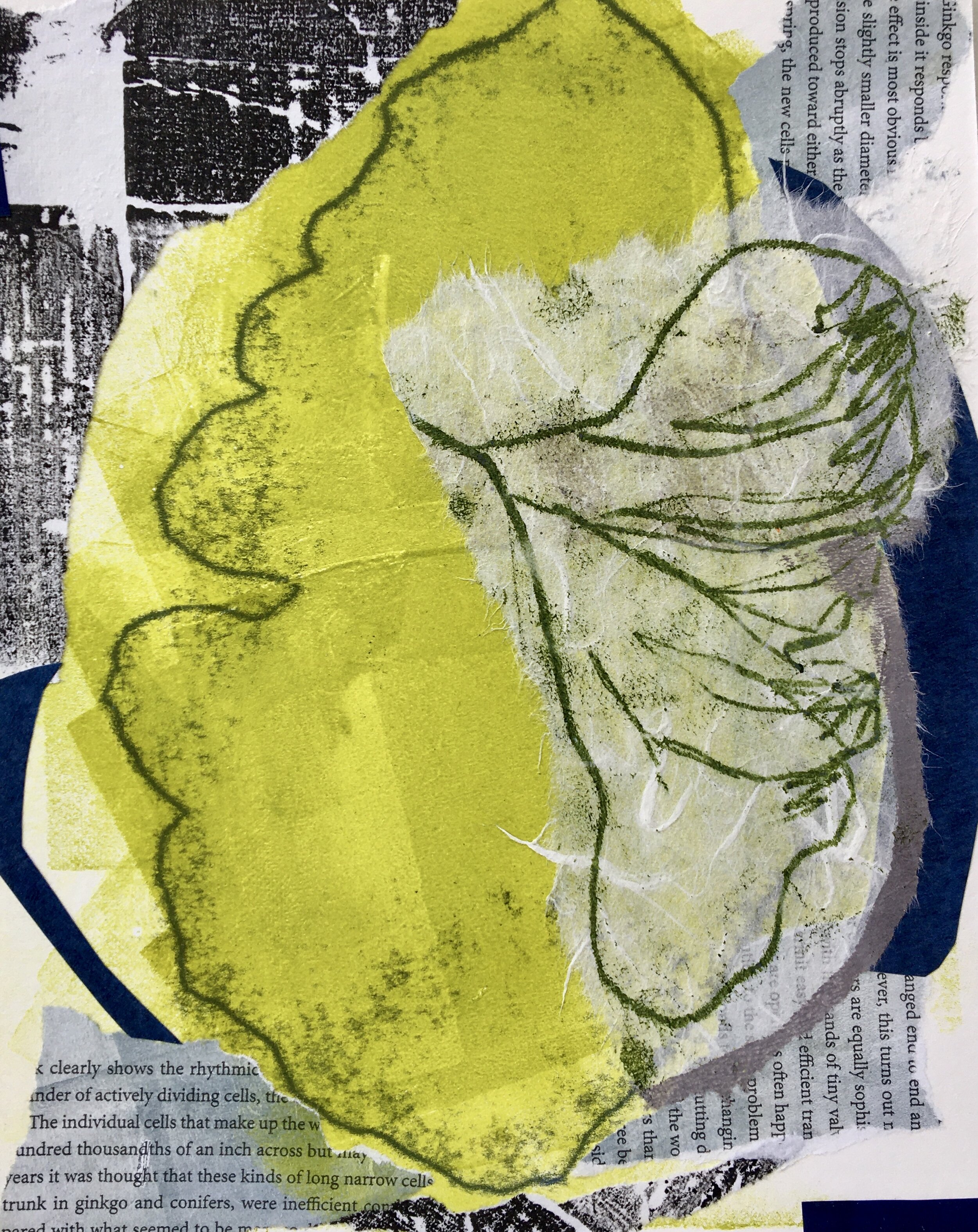 &lt;p&gt;&lt;strong&gt;SARAH MORRISON&lt;/strong&gt;monoprint, collage&lt;a href="/sarah-morrison-looking-up-2021"&gt;More →&lt;/a&gt;&lt;/p&gt; 