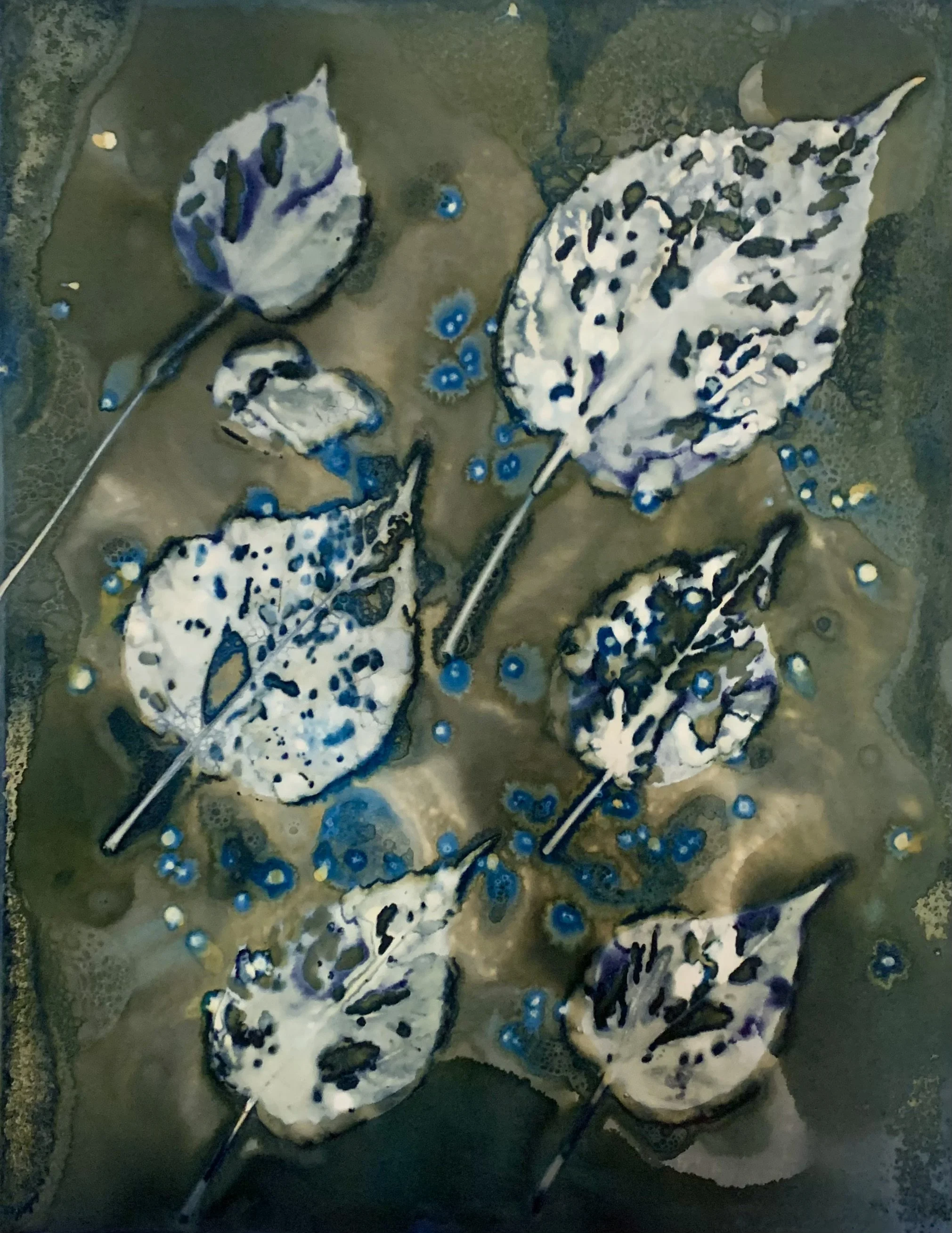 "It's Raining Zen", wet cyanotype on wood panel, 16" x 12", $250  SOLD