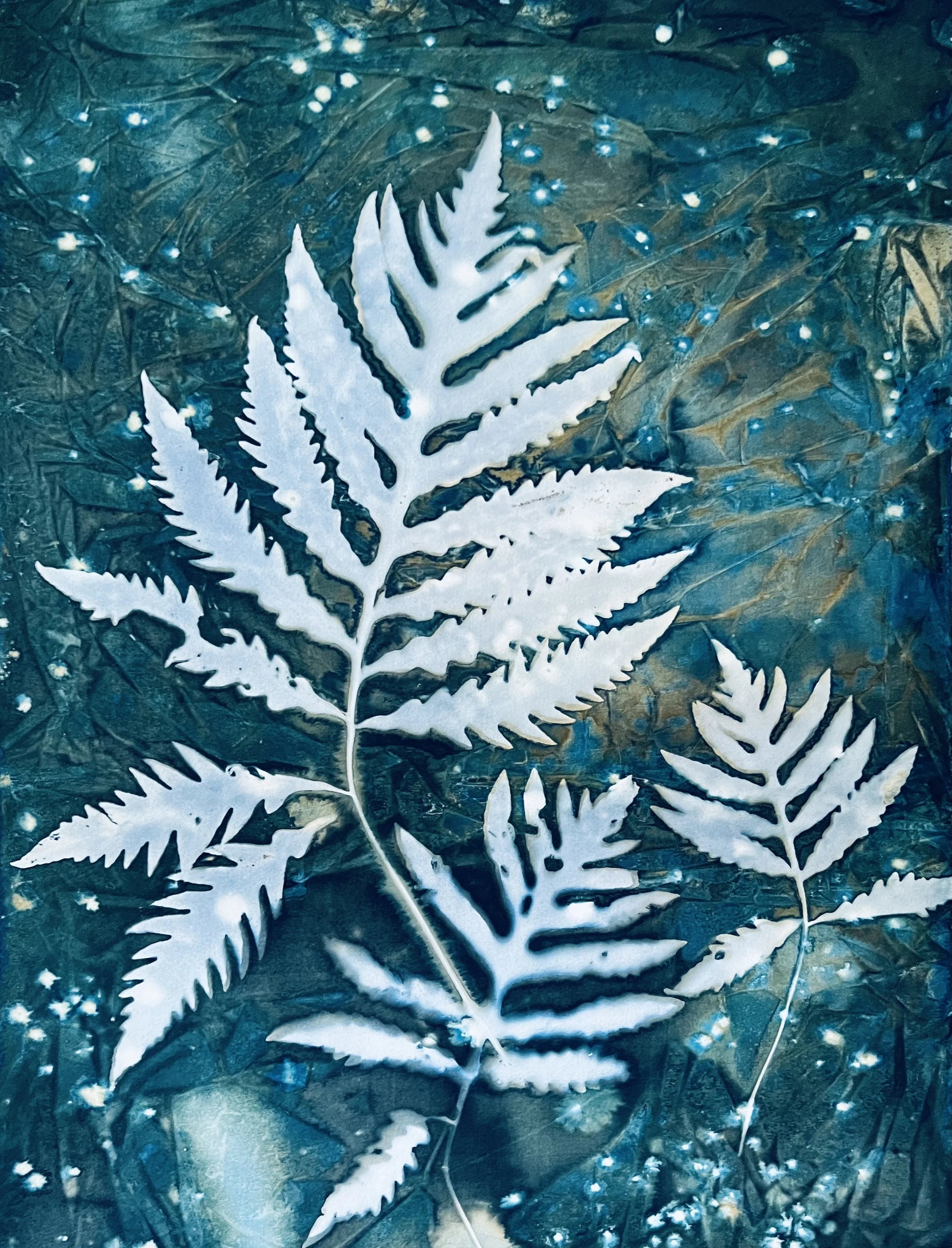 "Oh Happy Day", wet cyanotype on wood panel, 20" x 16", $350 