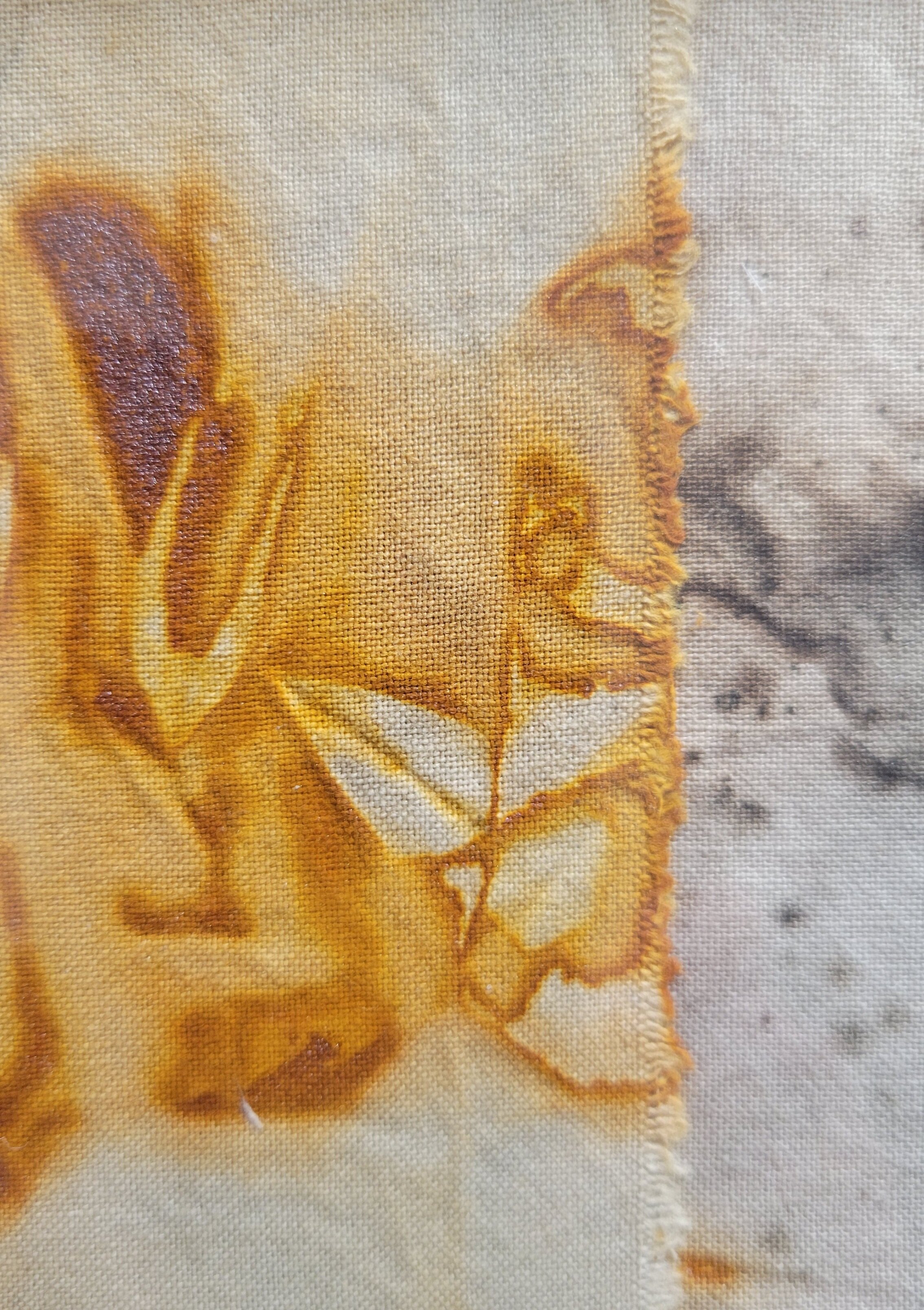 <p><strong>MARTHA HELLER</strong>printmaking on fabric, stitching<a href="/martha-heller-limp2023">More →</a></p>