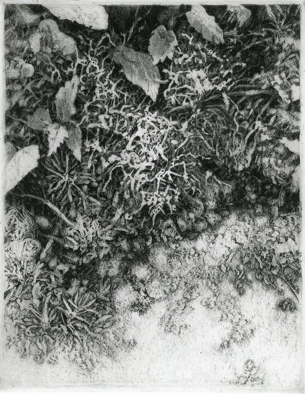 &lt;p&gt;&lt;strong&gt;ANN ELDRIDGE&lt;/strong&gt;etching&lt;a href="/ann-eldridge-limp2023"&gt;More →&lt;/a&gt;&lt;/p&gt;