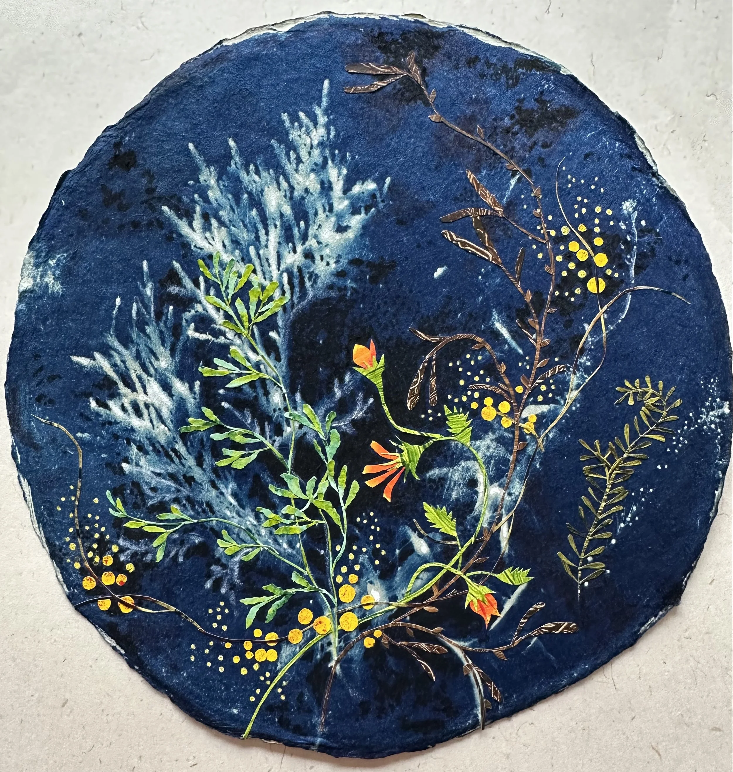 "Botanical Medley #2", enhanced cyanotype, 13" x 13", $350