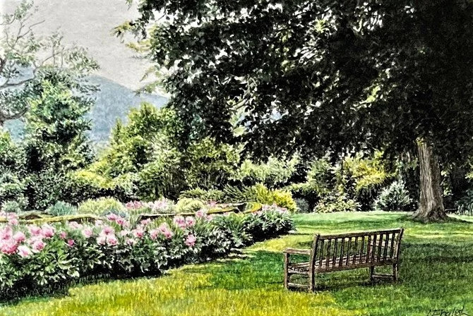 "Front Row Seat", watercolor, 5.5" x 3.75", $460 (framed)