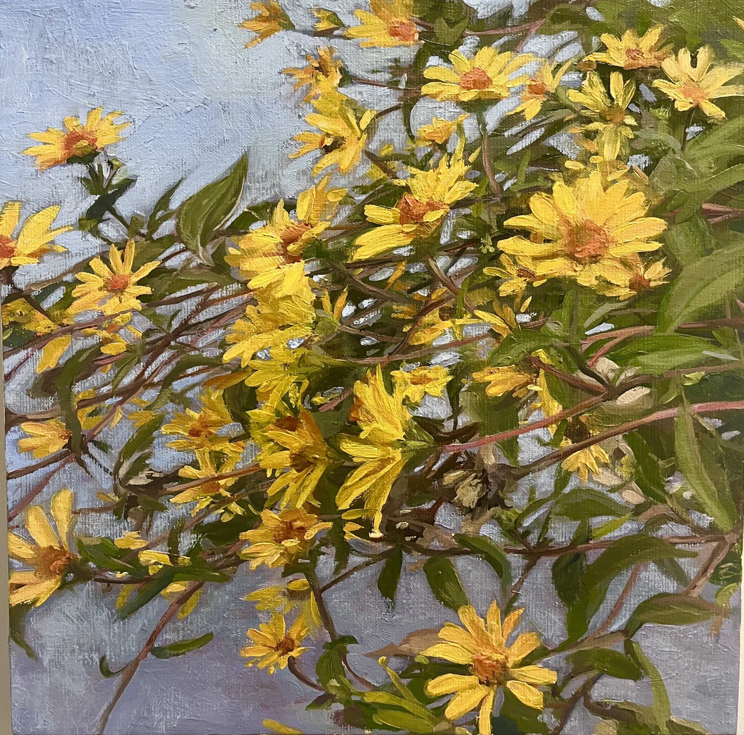 <p><strong>HEIDI MANN</strong>oil painting<a href="/heidi-mann-lyr2024">More →</a></p>